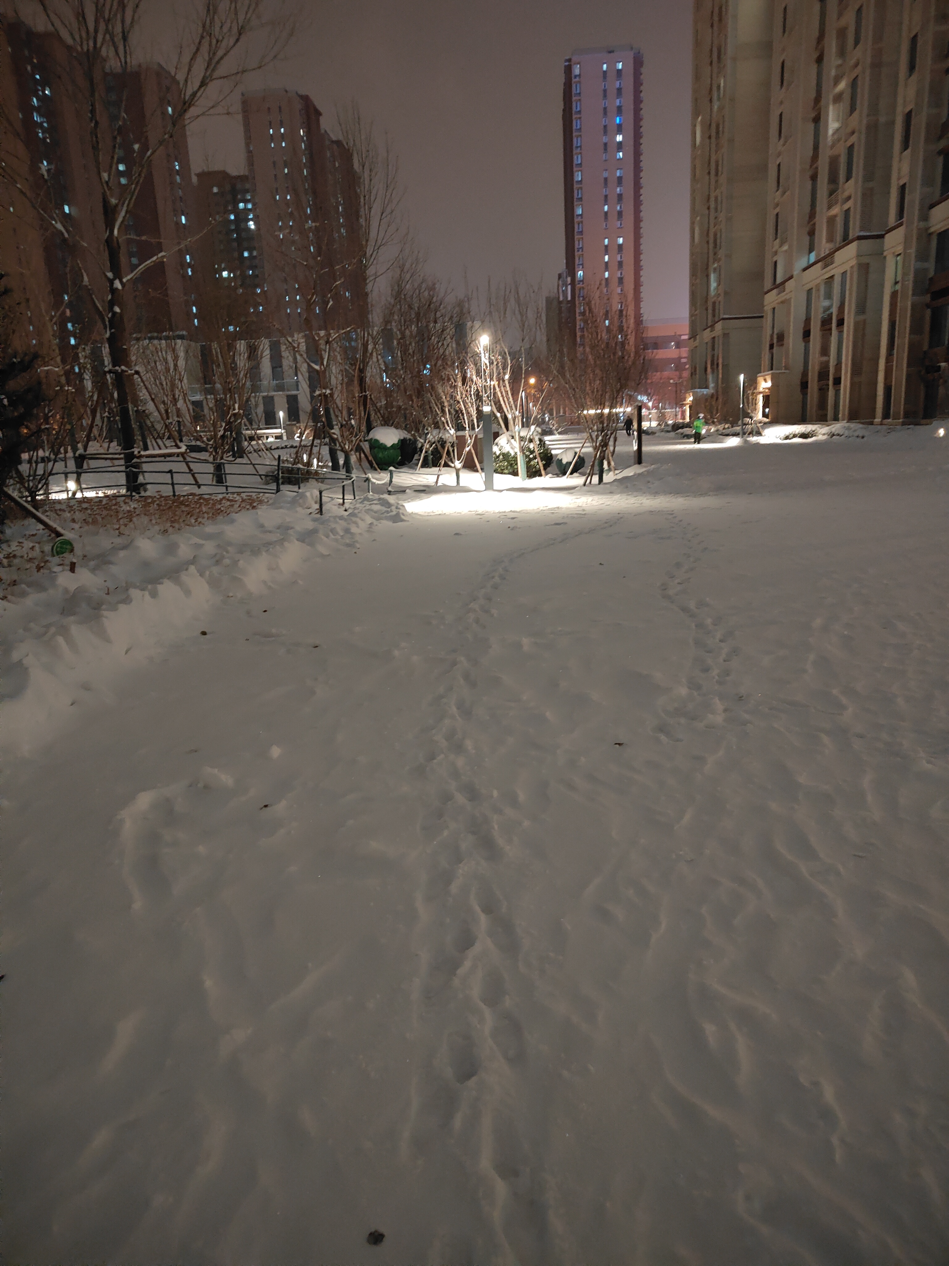 雪天的夜晚,显得格外静谧.