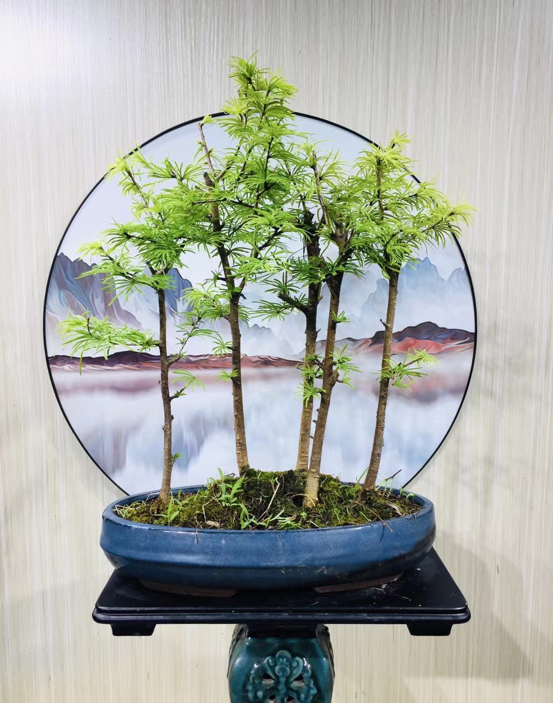 丛林水衫