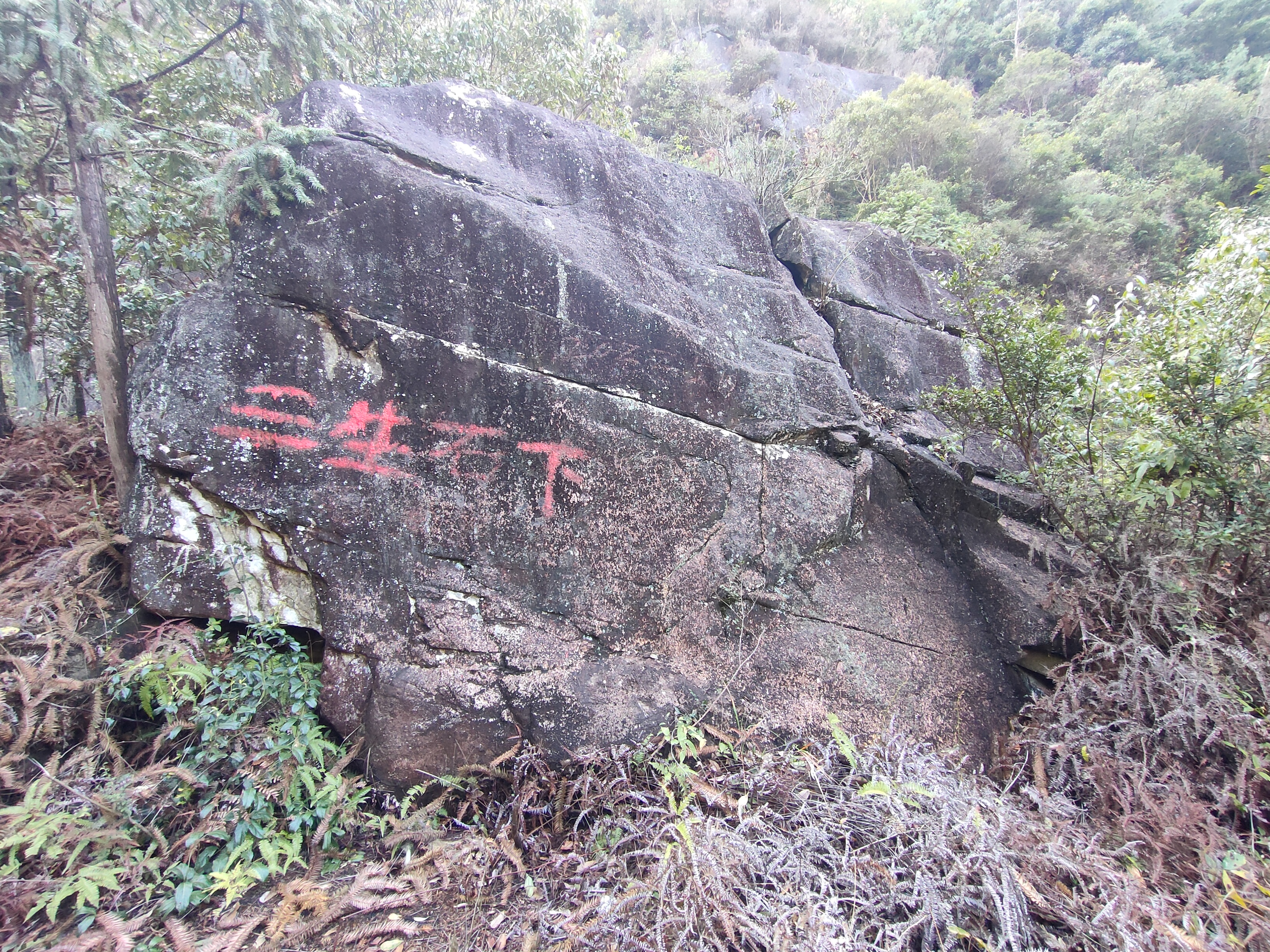 阴间三生石图片图片