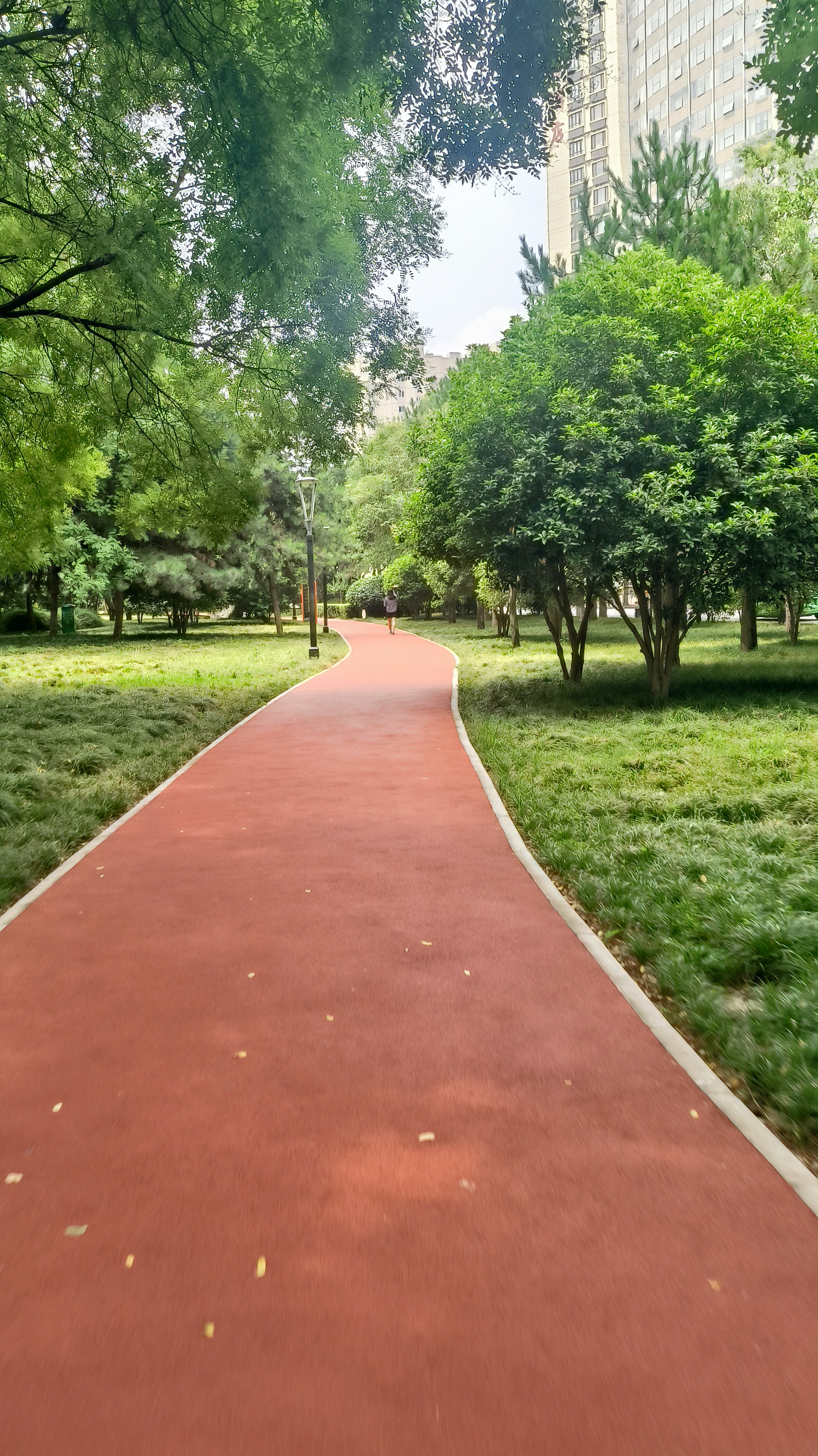 就是高新唐城墙遗址公园,从科技路到科技八路,全程都是这种橡胶跑道