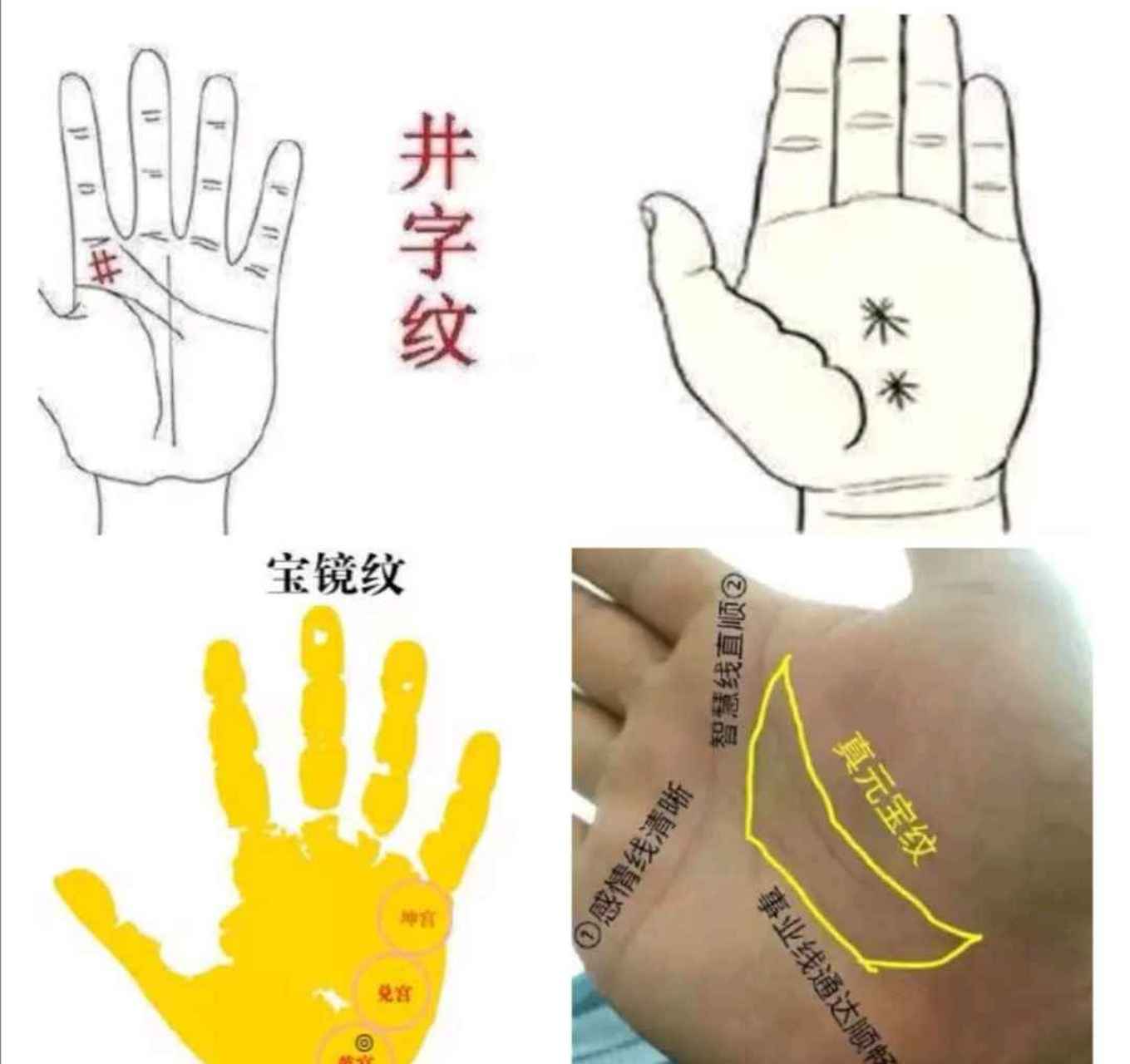 手掌中常见的财富纹路  1,玉井纹:这种纹路一般来说位于手掌的巽宫和