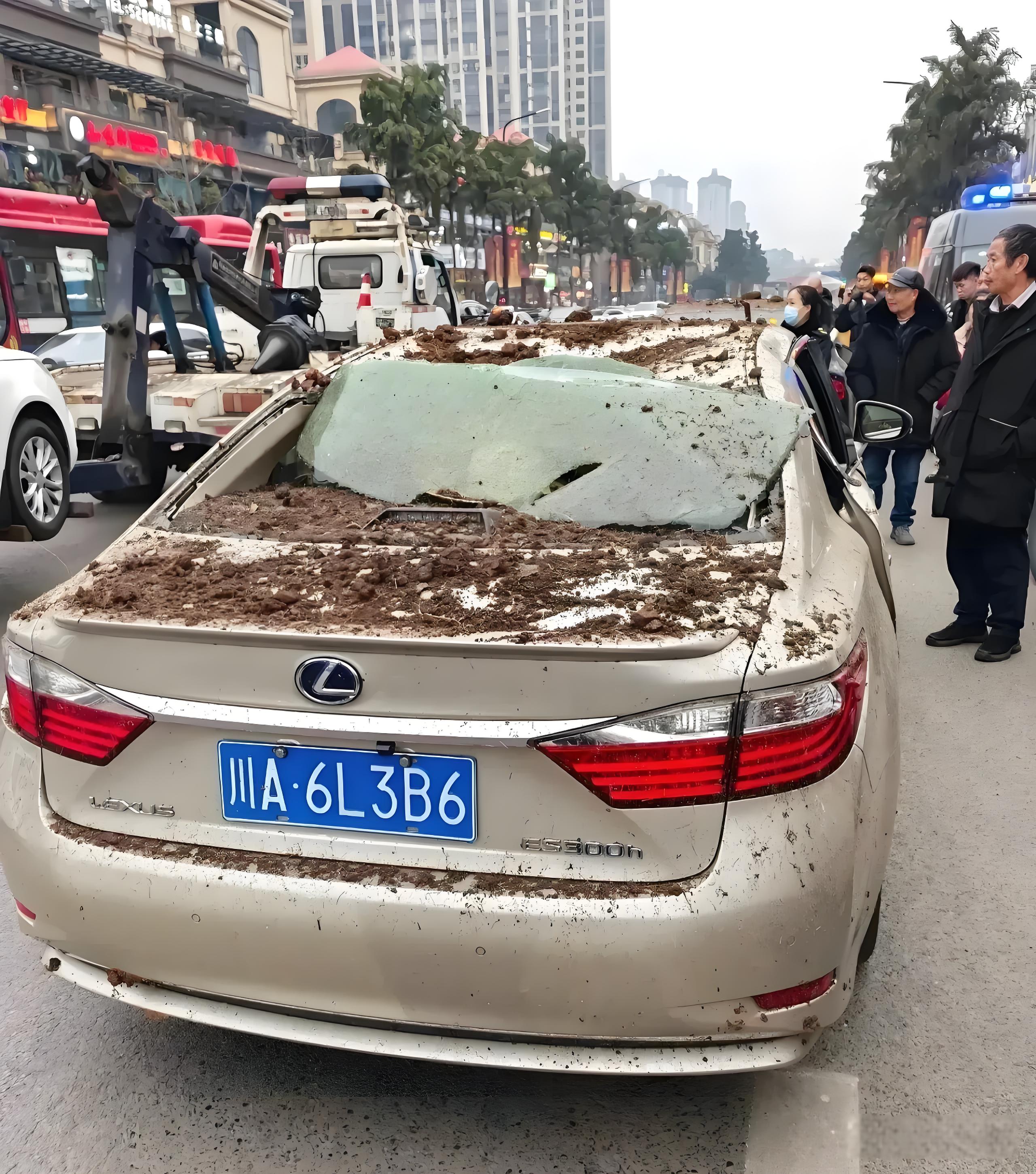 放炮小孩的大哥还有其他亲戚都出来说话了,正如大家想