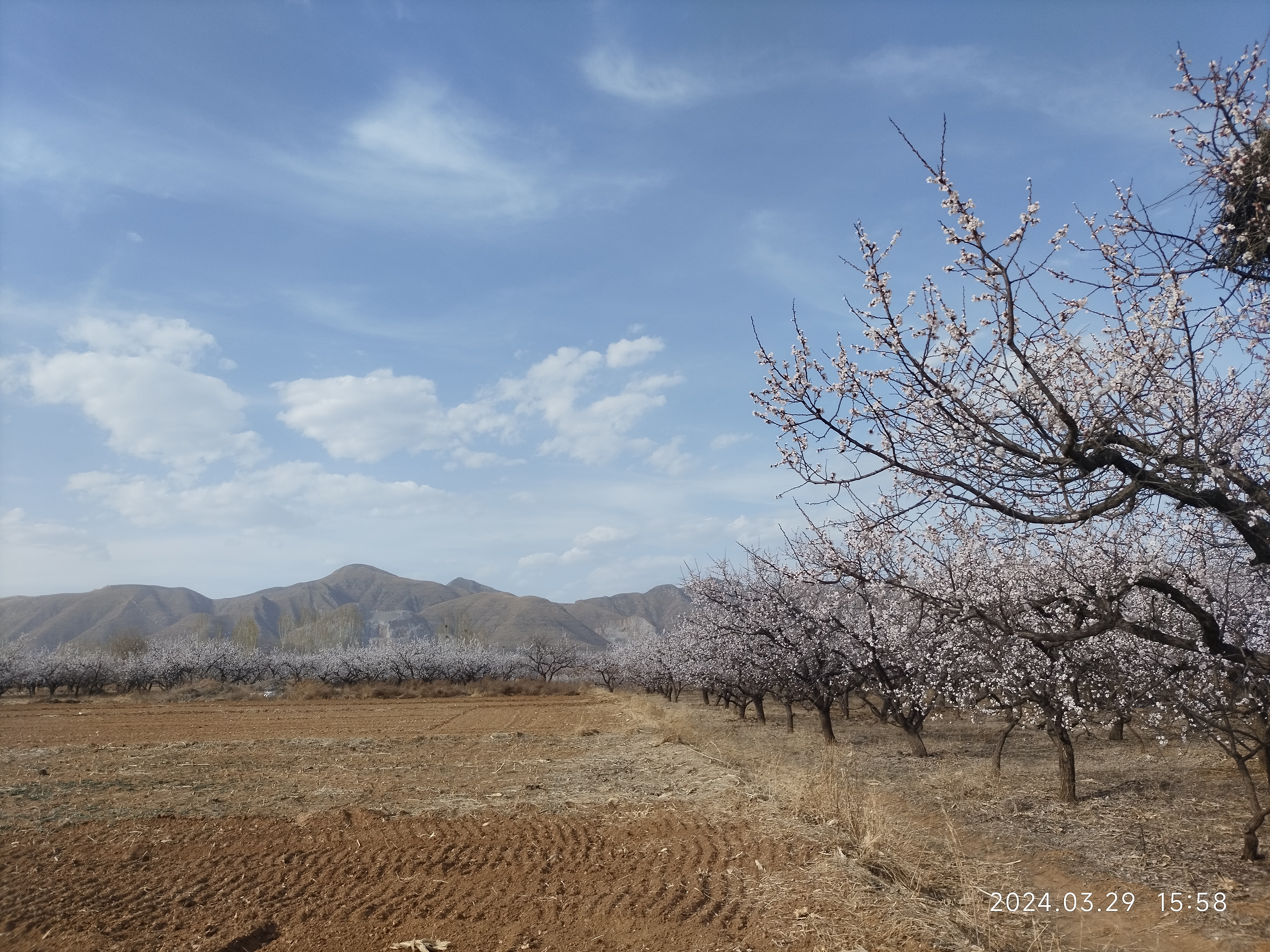 顺平杏林山水公园