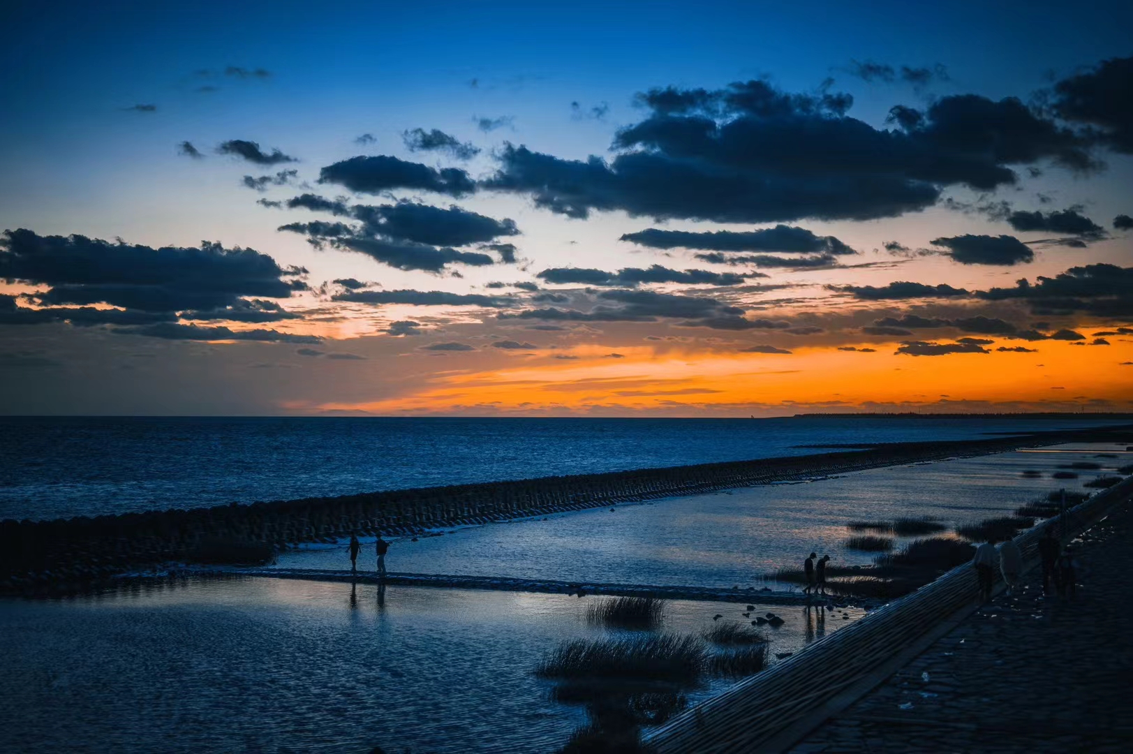 可可西里没有海