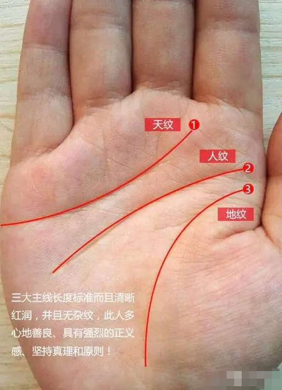 他的天纹地纹人纹的长度,如果长度标准而且清晰红润,并且三大主线无杂