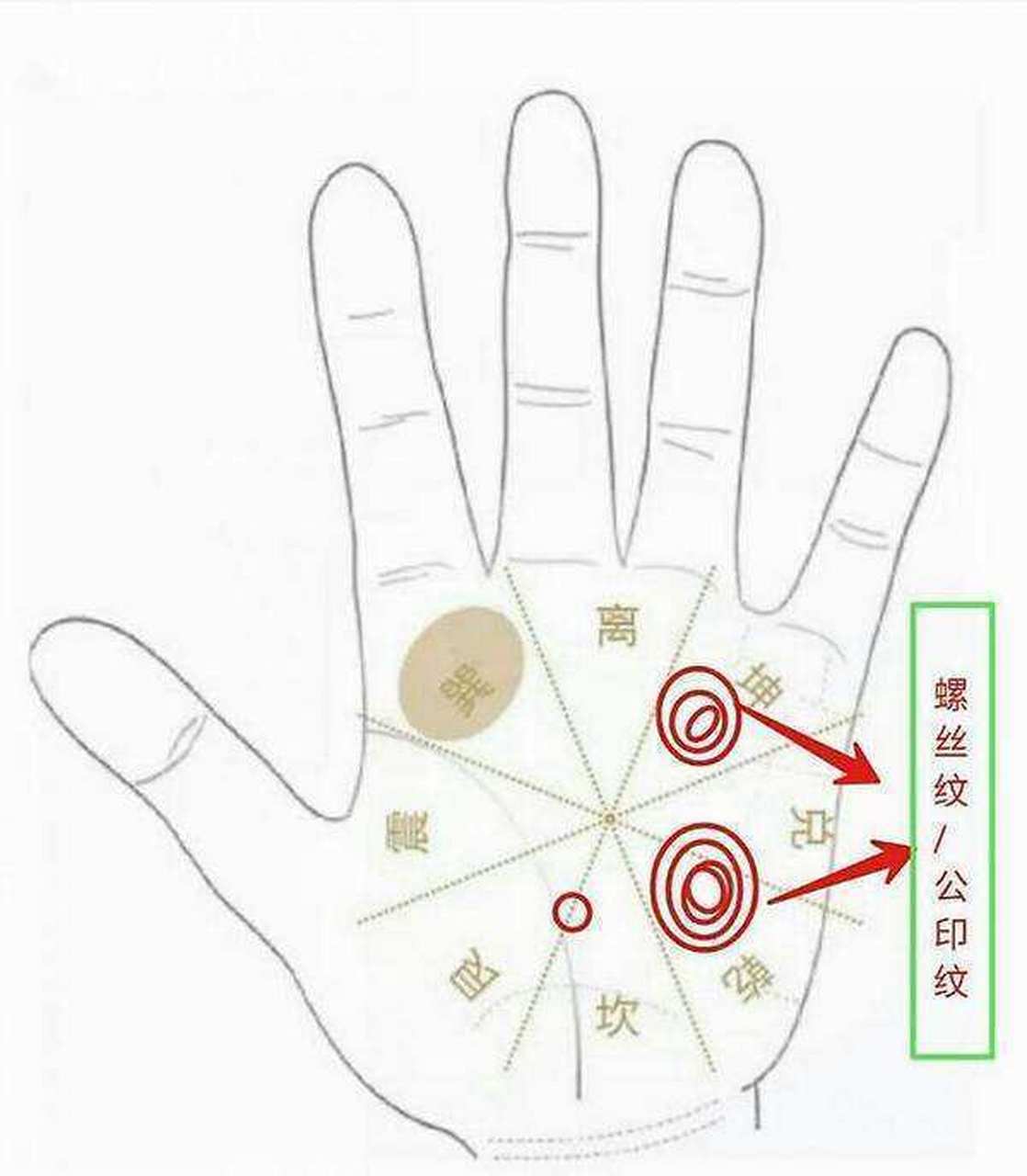 公印纹手相  拥有公印纹手相的人,注定是当官的料.