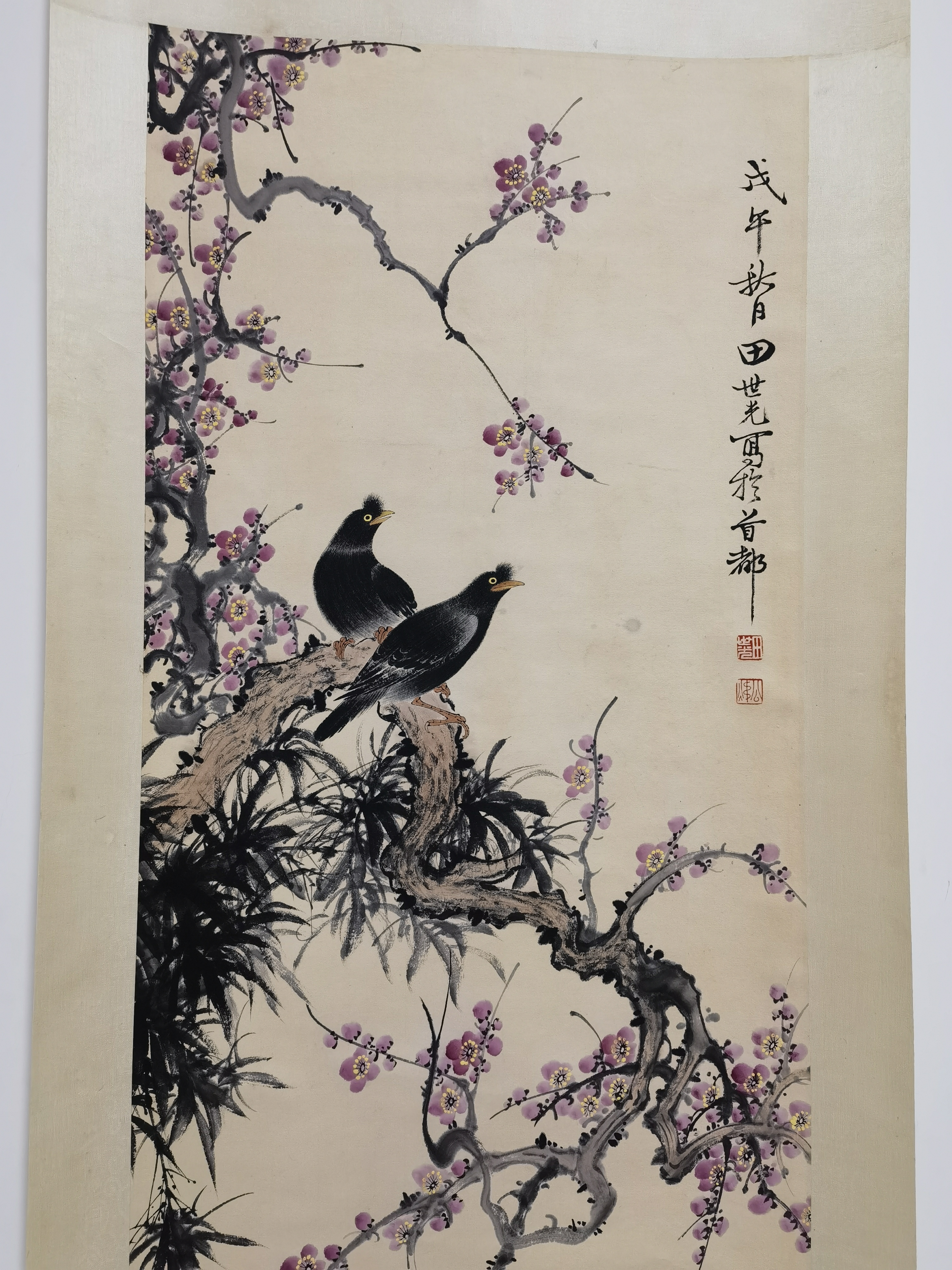 近代61田世光【梅花八哥图】:画芯43x97cm,原装老裱.