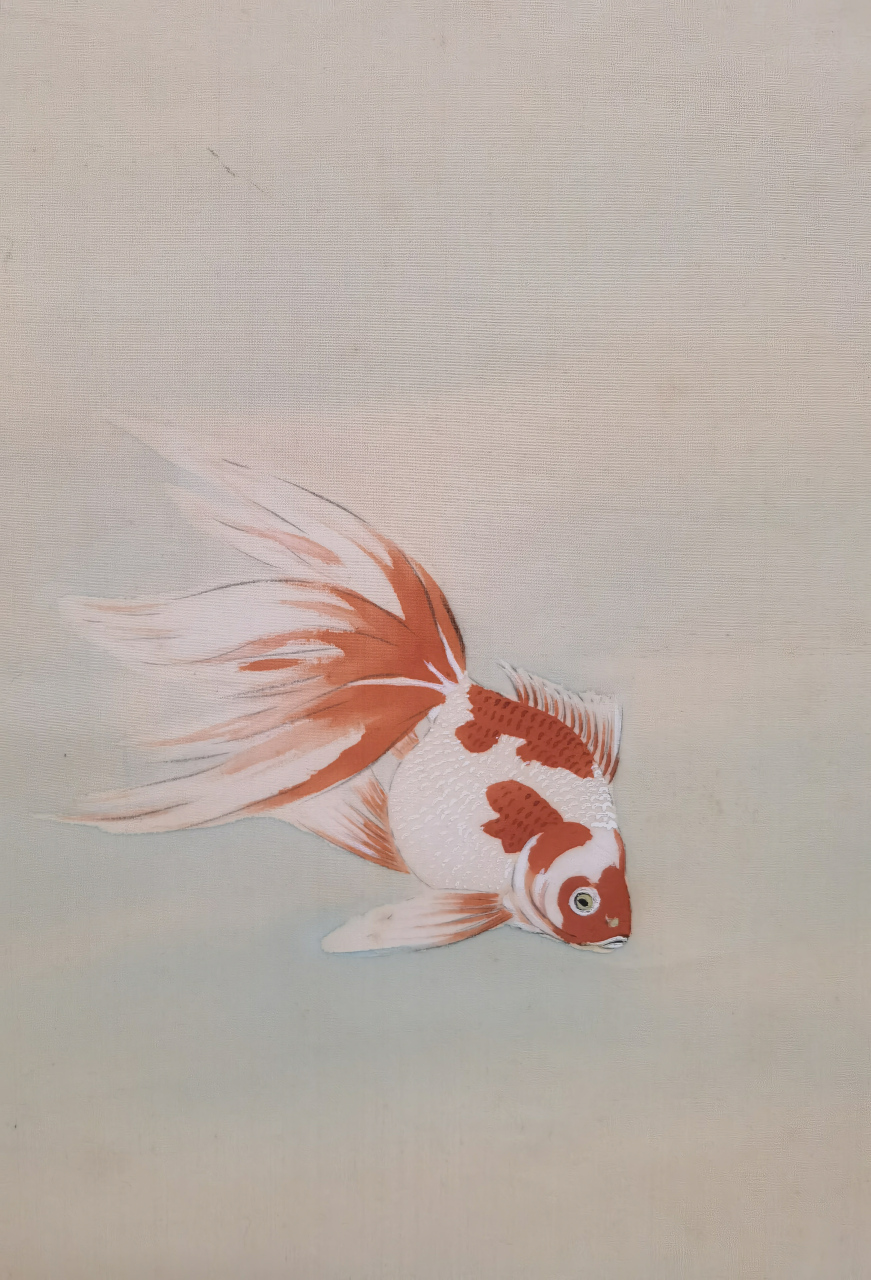 近代·紫仙【水草金鱼图】:绢丝画芯35x124cm,日本回流,原装老裱.