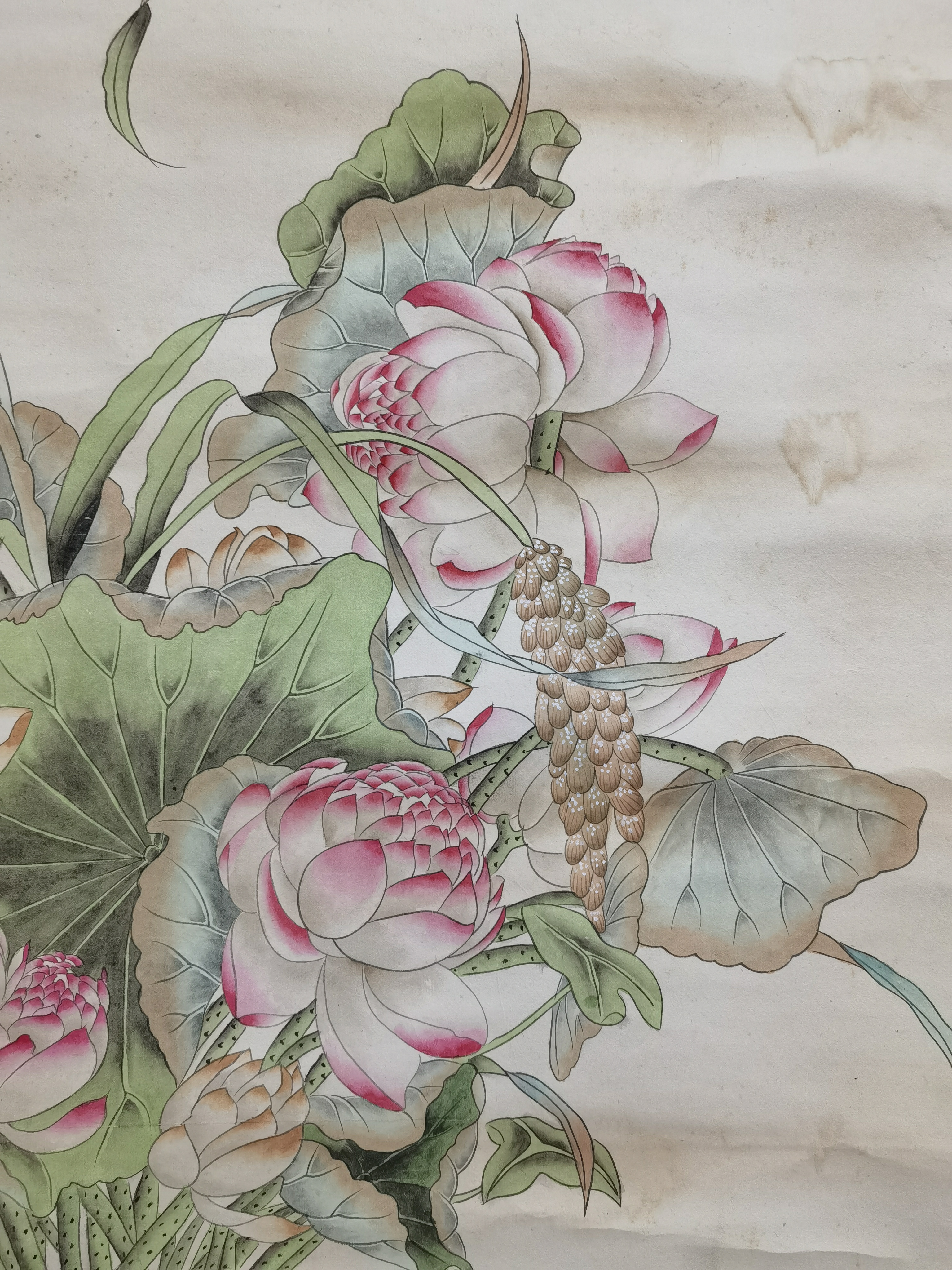 民国61梅兰芳【赏瓶荷花图】:画芯65x129cm,原装老裱.