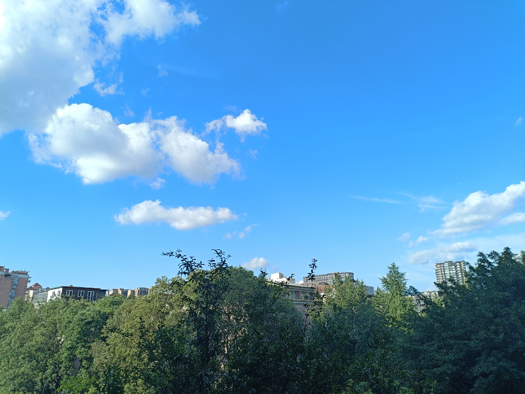 天空是一片湛蓝,如同一面巨大的宝石镜子,映照着大地的辉煌.