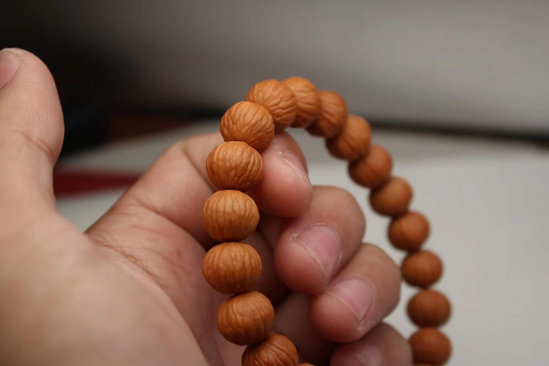 猴头凤羽911.[吃瓜] 小尺寸的猴头价位居高不下[捂脸],这款小凤羽,我