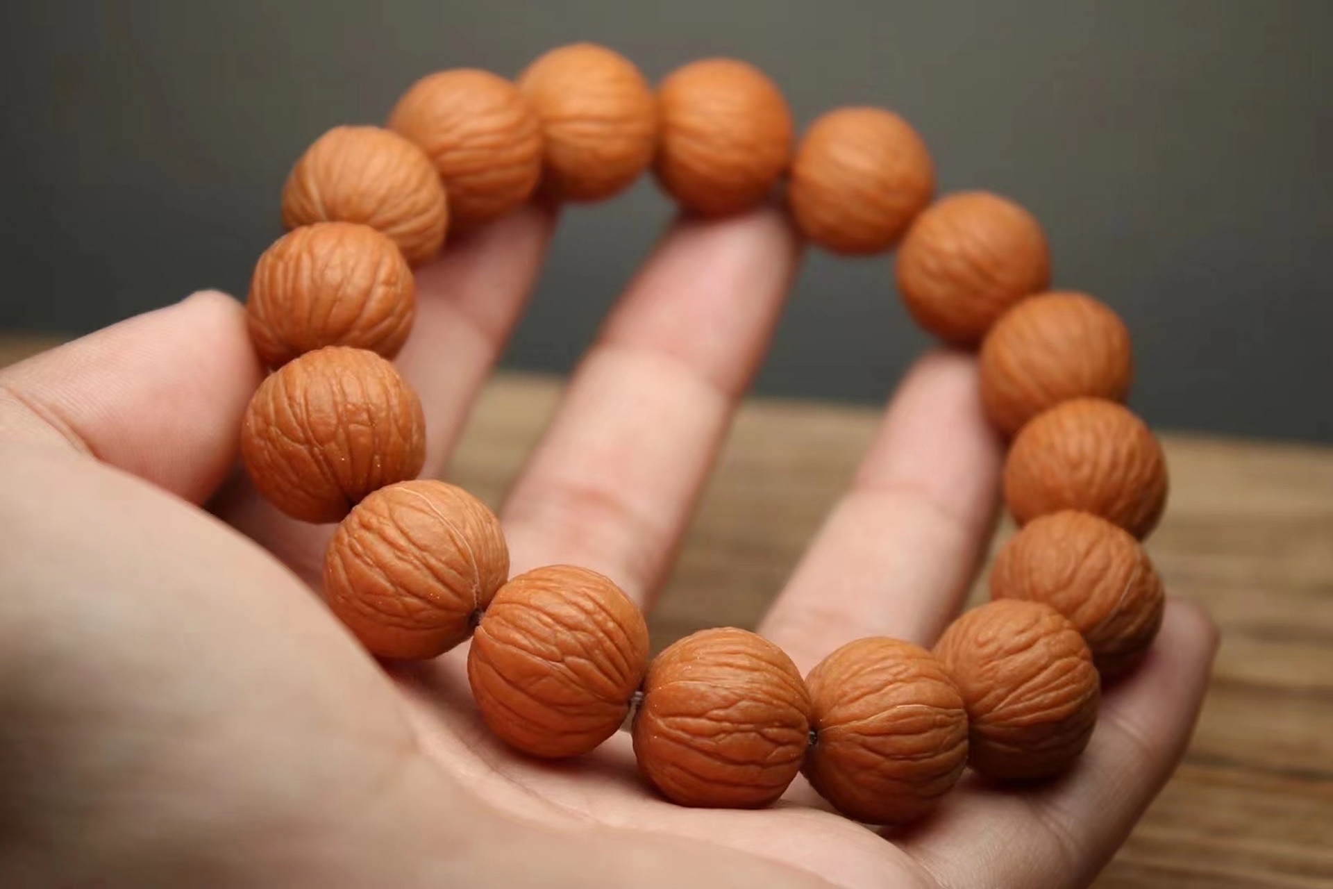 【超级无敌福利】 猴头凤羽 尺寸16左右,全品无瑕疵,老树凤羽,皮质油