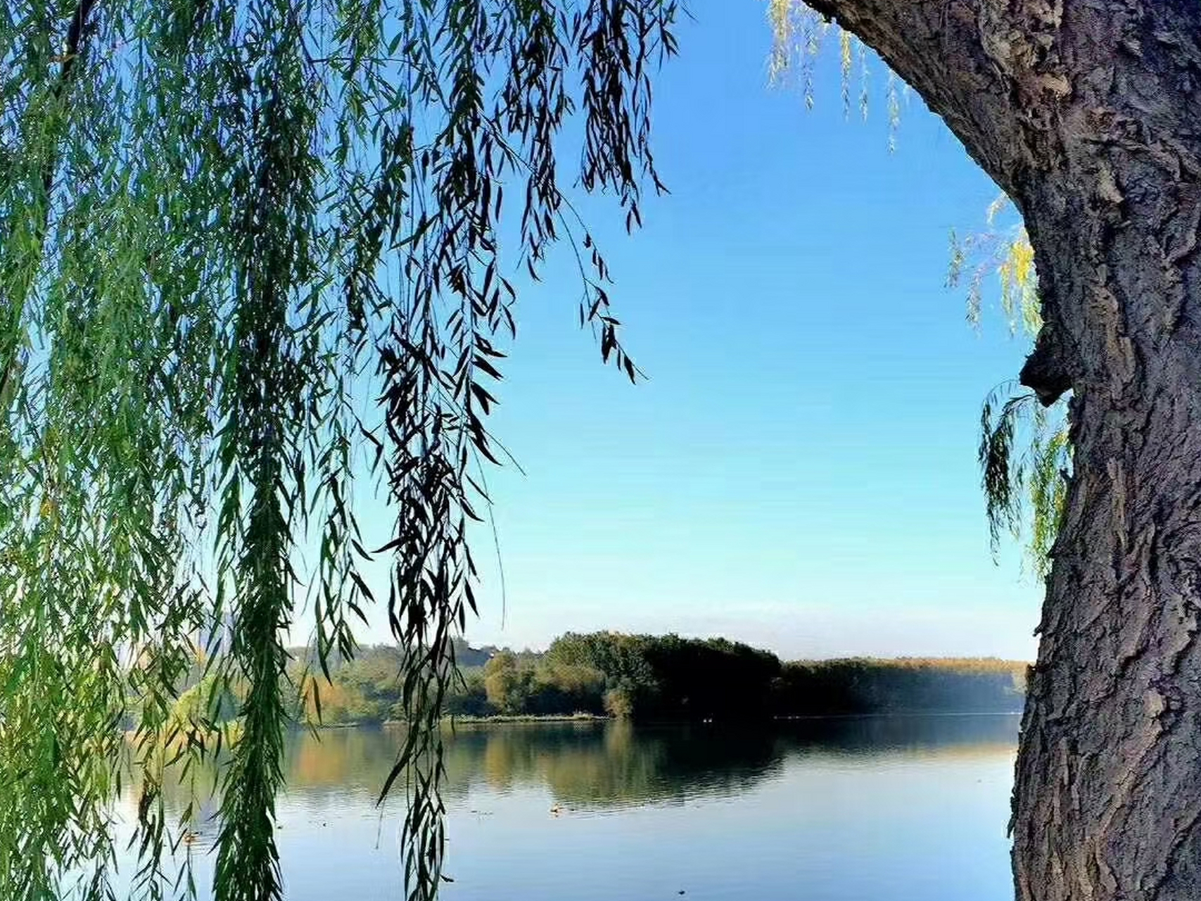 标题:《再难相遇》  第一章:相遇的预感  在那个微风吹拂的午后,阳光