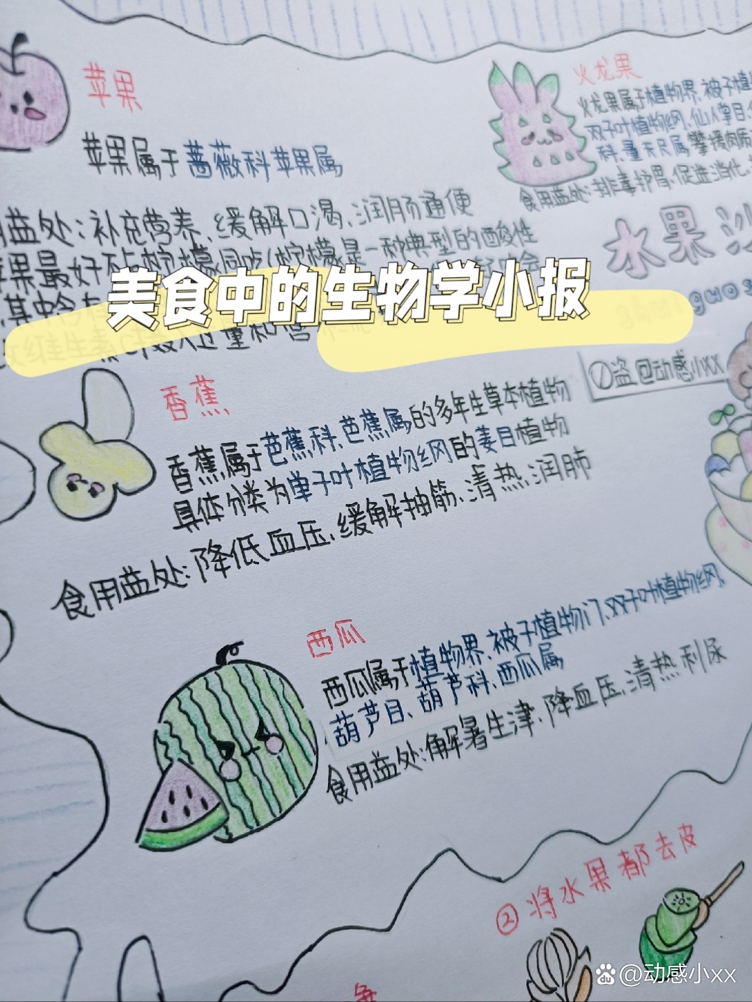 美食中的生物小报