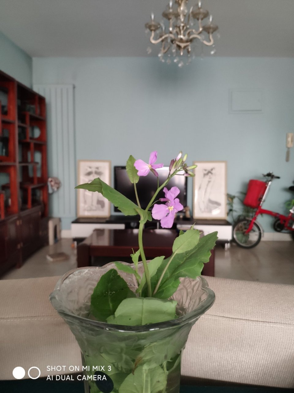 提高情商的五步  "情商之父"丹尼尔·戈尔曼却有着不一样的看法,他说