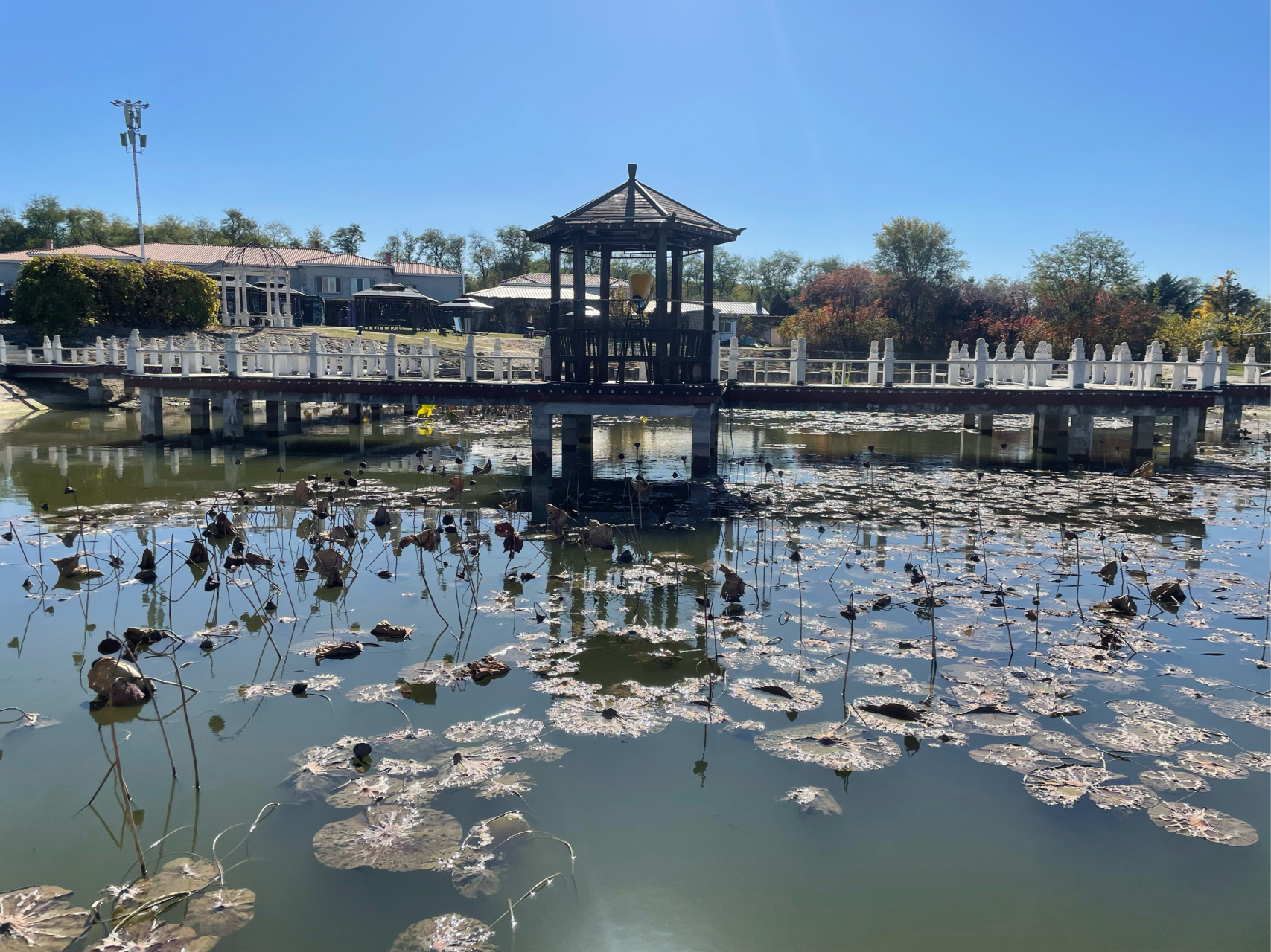 团建地点:山水庄园.其实只有水没有山