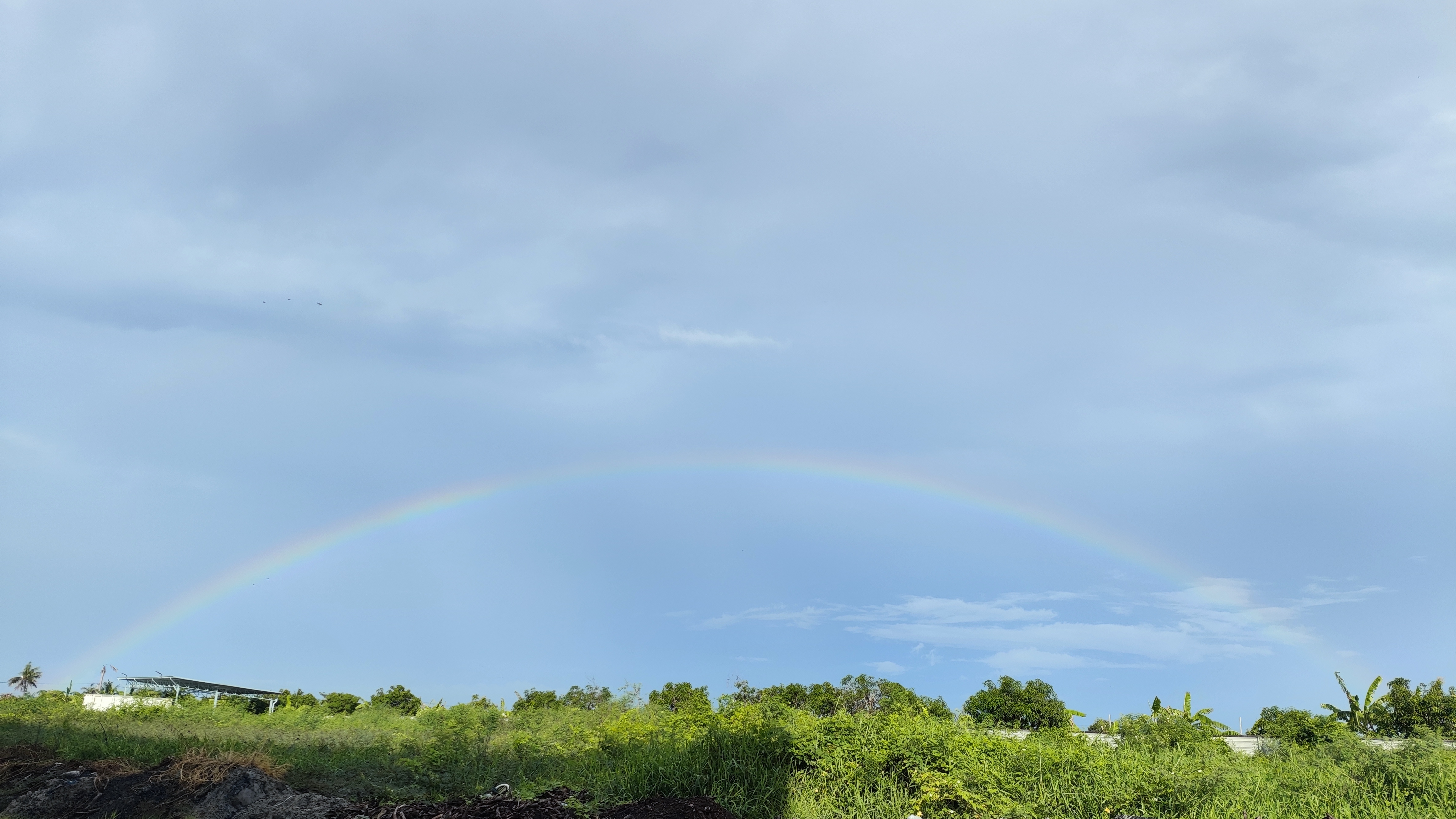在泰国曼谷的雨季,一场骤雨刚刚停歇,天空便迫不及待地撕开了帷幕