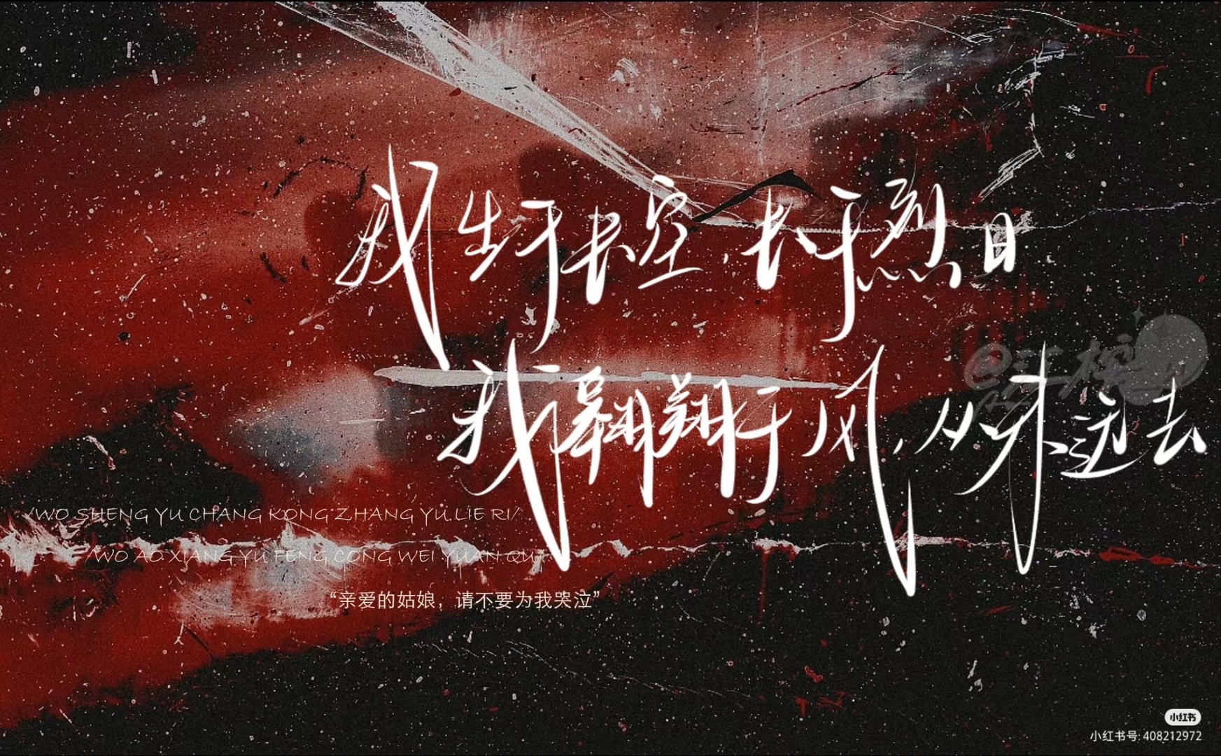 我翱翔于风,从未远去,亲爱的姑娘,请不要为我哭泣…"#犯罪心理宋声声