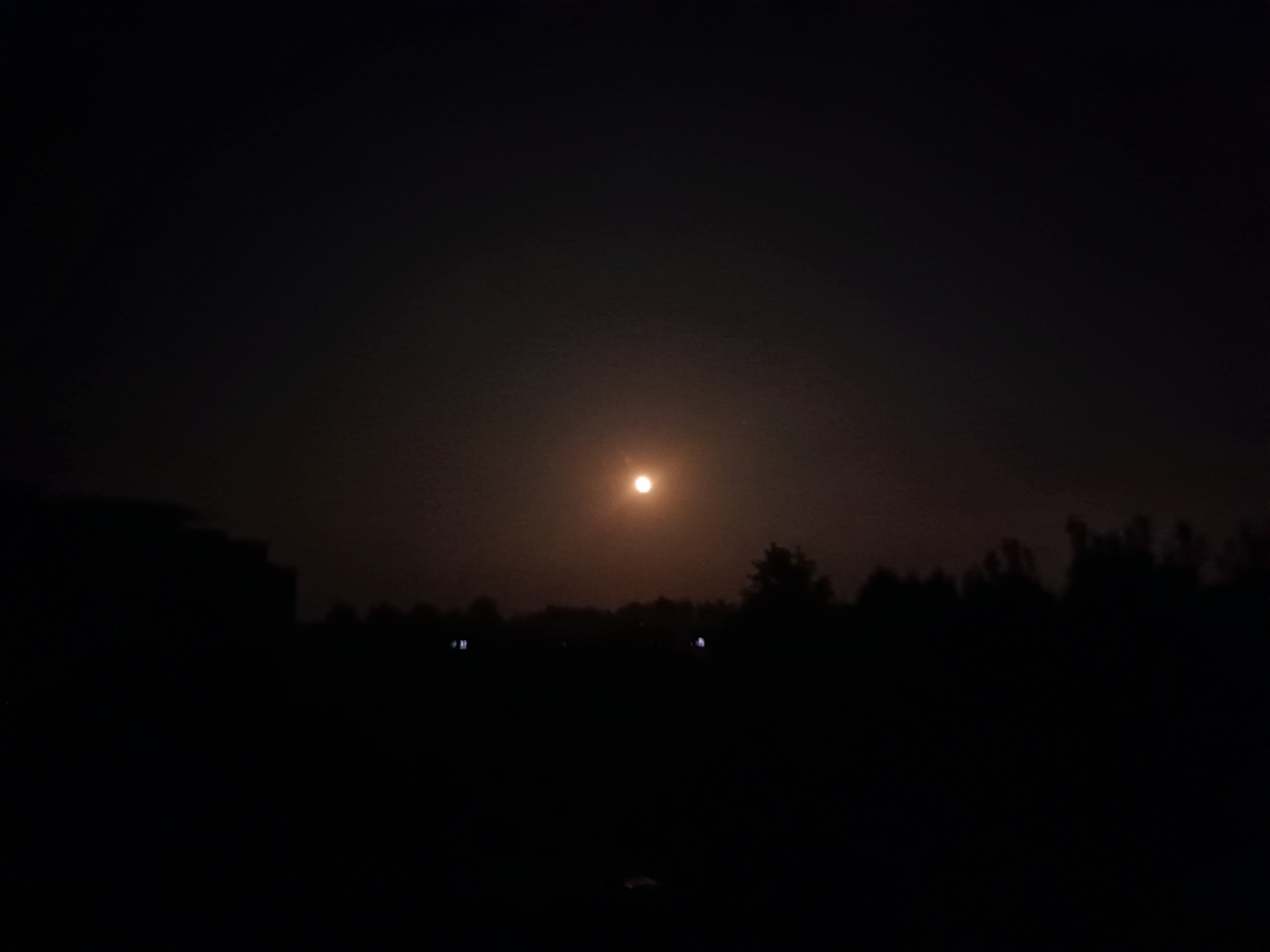 "夜色温柔,万籁俱寂,独坐窗前,一杯热茶伴月光.