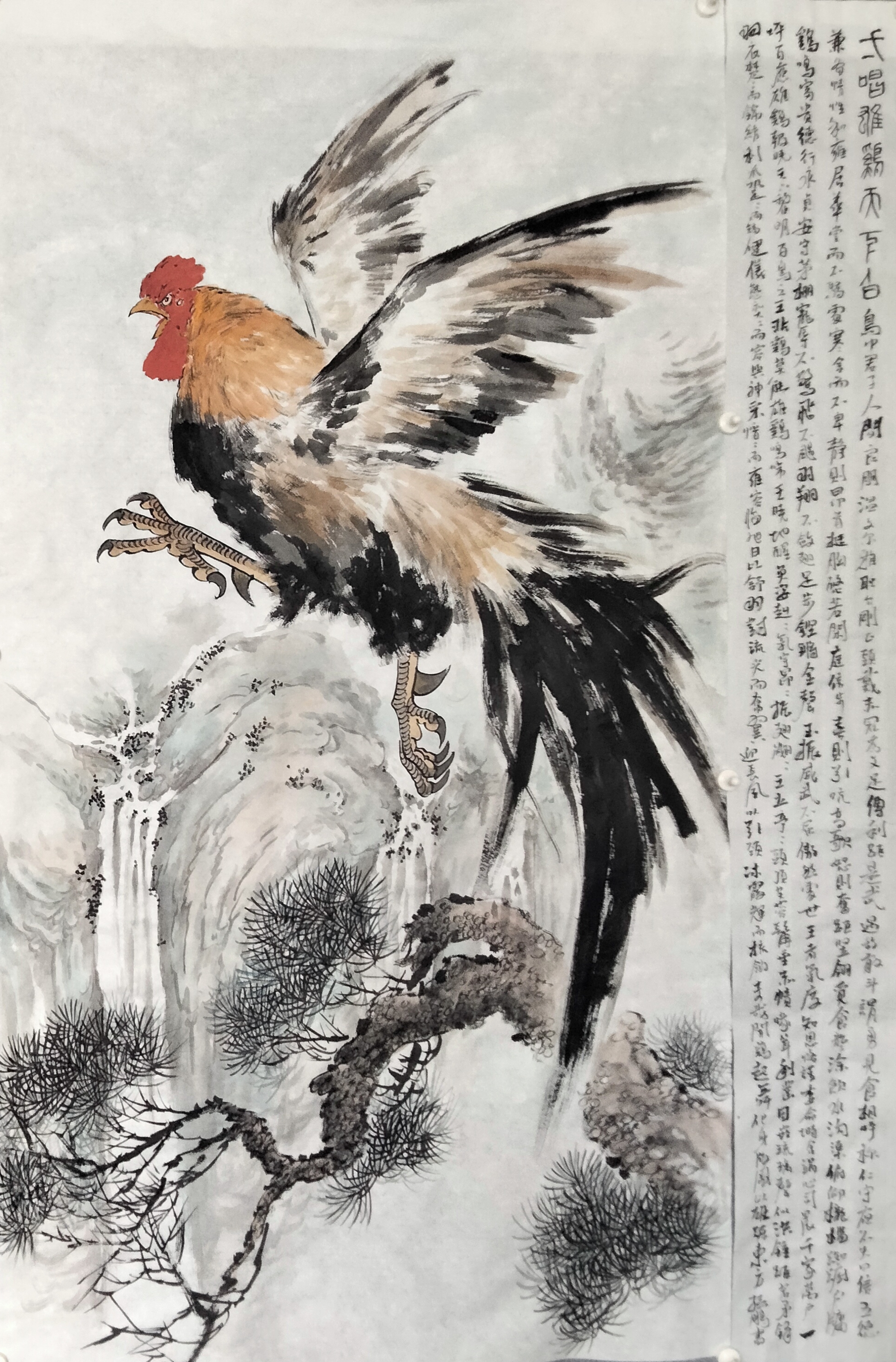 雄鸡展翅图 鸟中君子,人间良朋. 温文尔雅,耿介刚正.