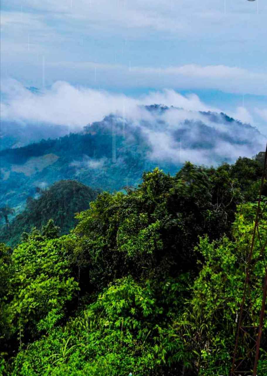 老山,八里河东山～1986-1988年两山轮战.