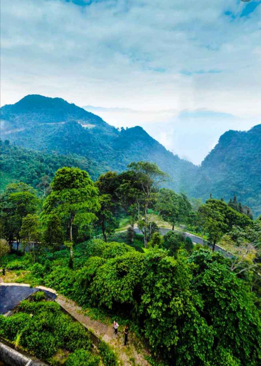 老山,八里河东山～1986-1988年两山轮战.