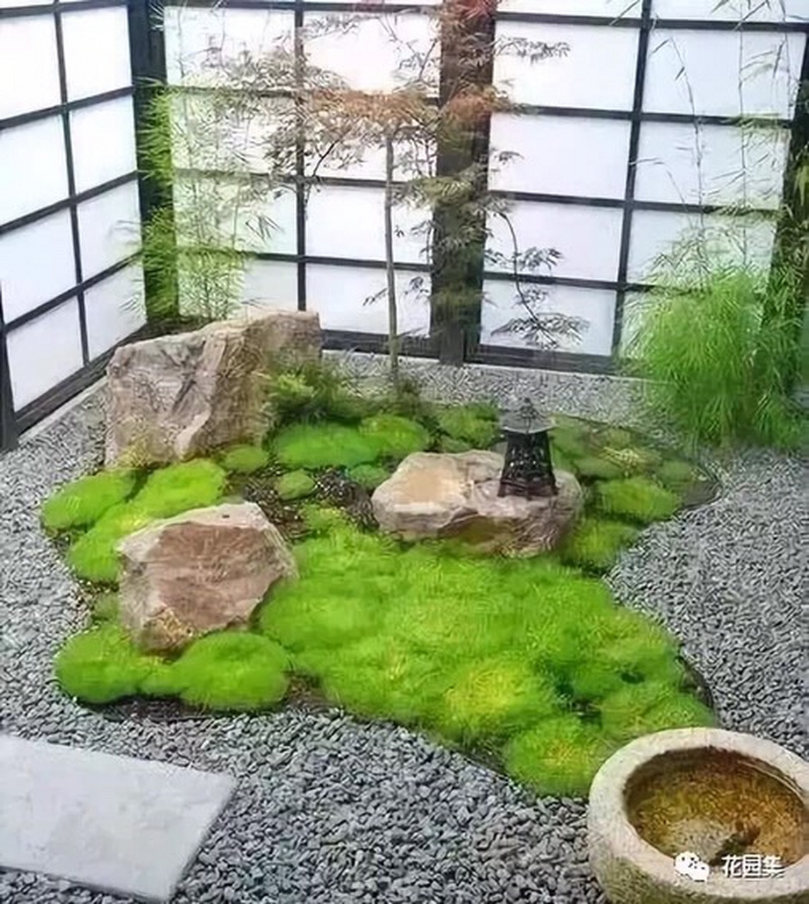 【苔藓-阴柔之美】    天地日月之精华   雨露滋润之柔美