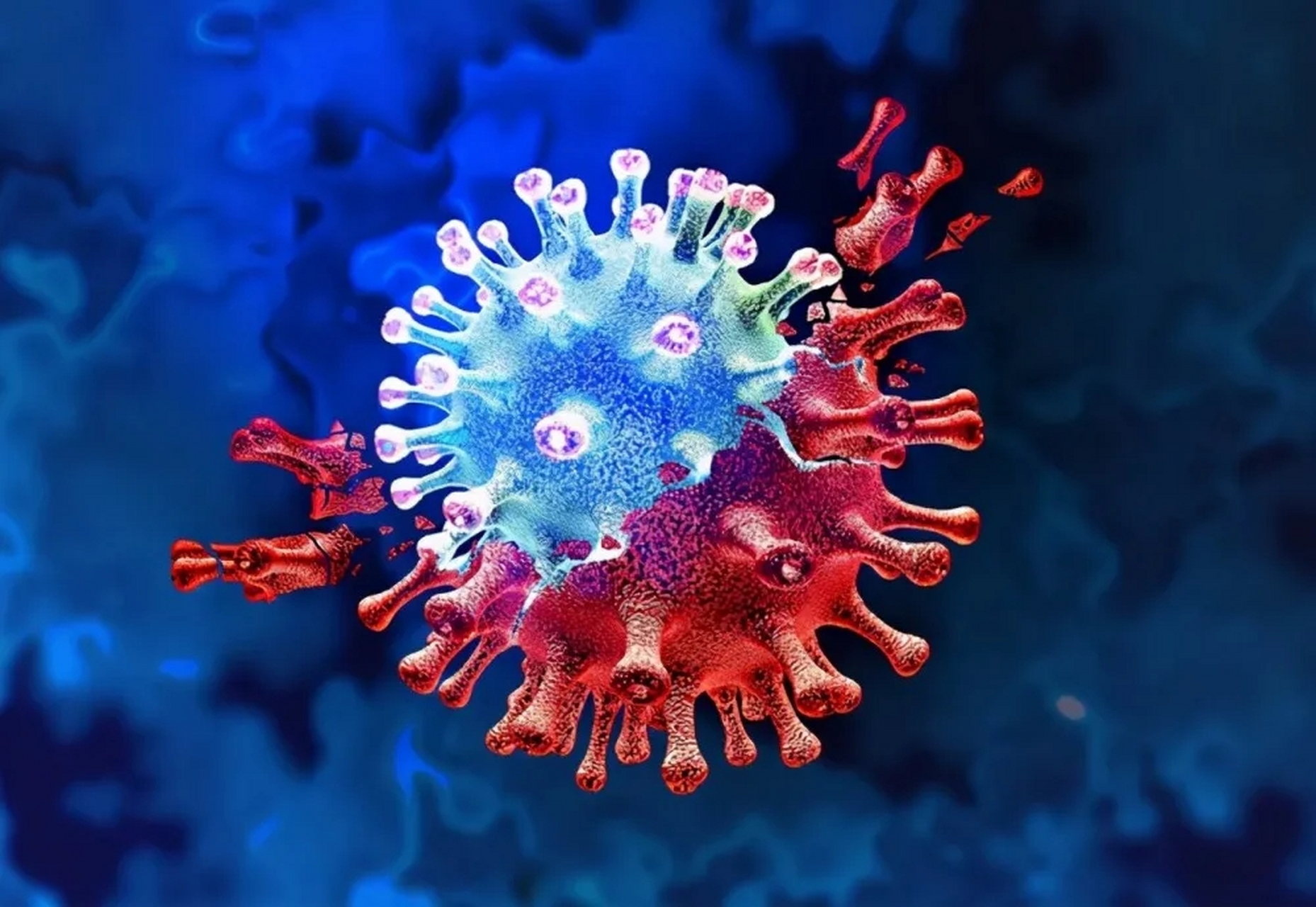 浙江曝光10个印度输入病例,吴尊友当天警告:变异病毒已进入中国  据