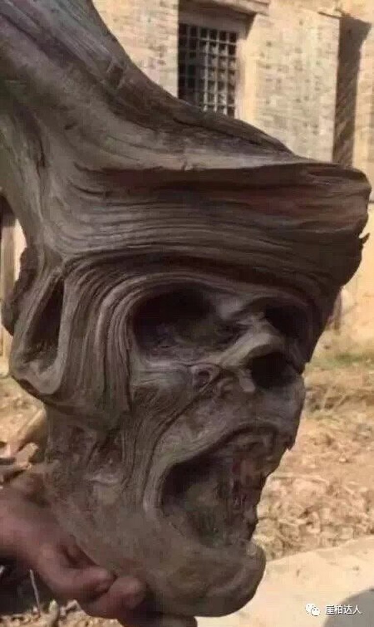 若要指谪他是非,反去激他恶性.】文过饰非,这是恶人的常态.