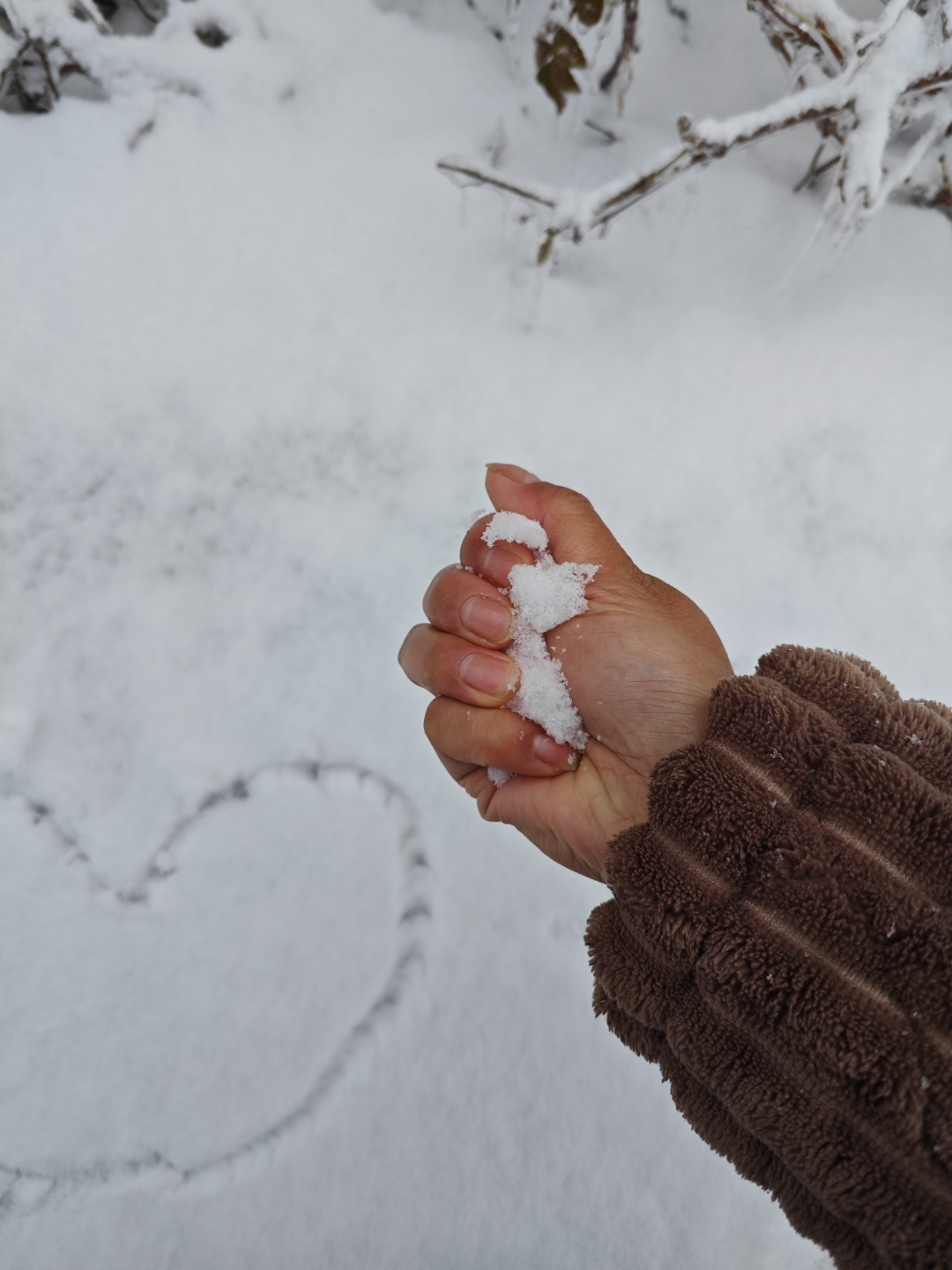 唯美手接雪花飘落图片图片