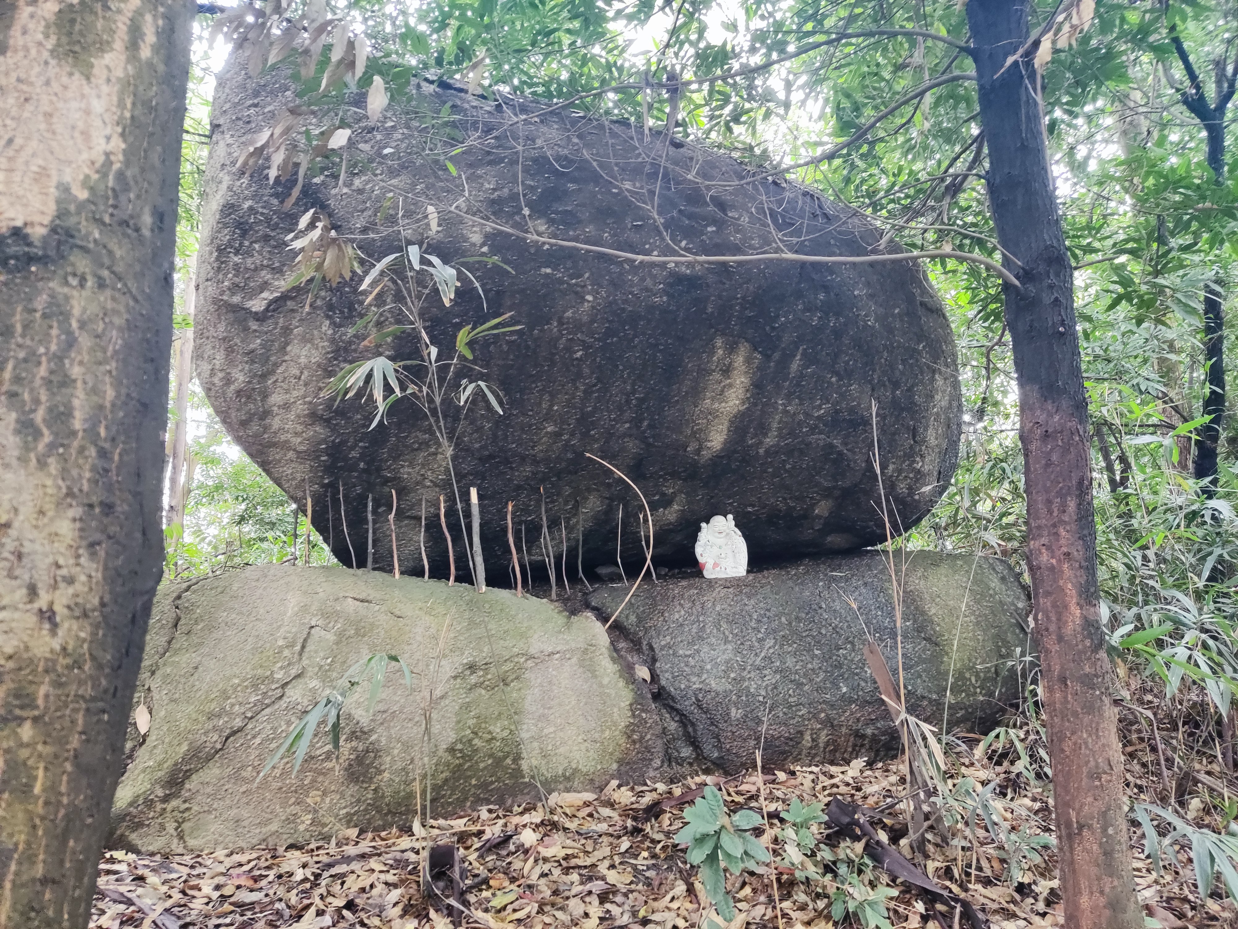 黄埔区龙头山森林公园图片