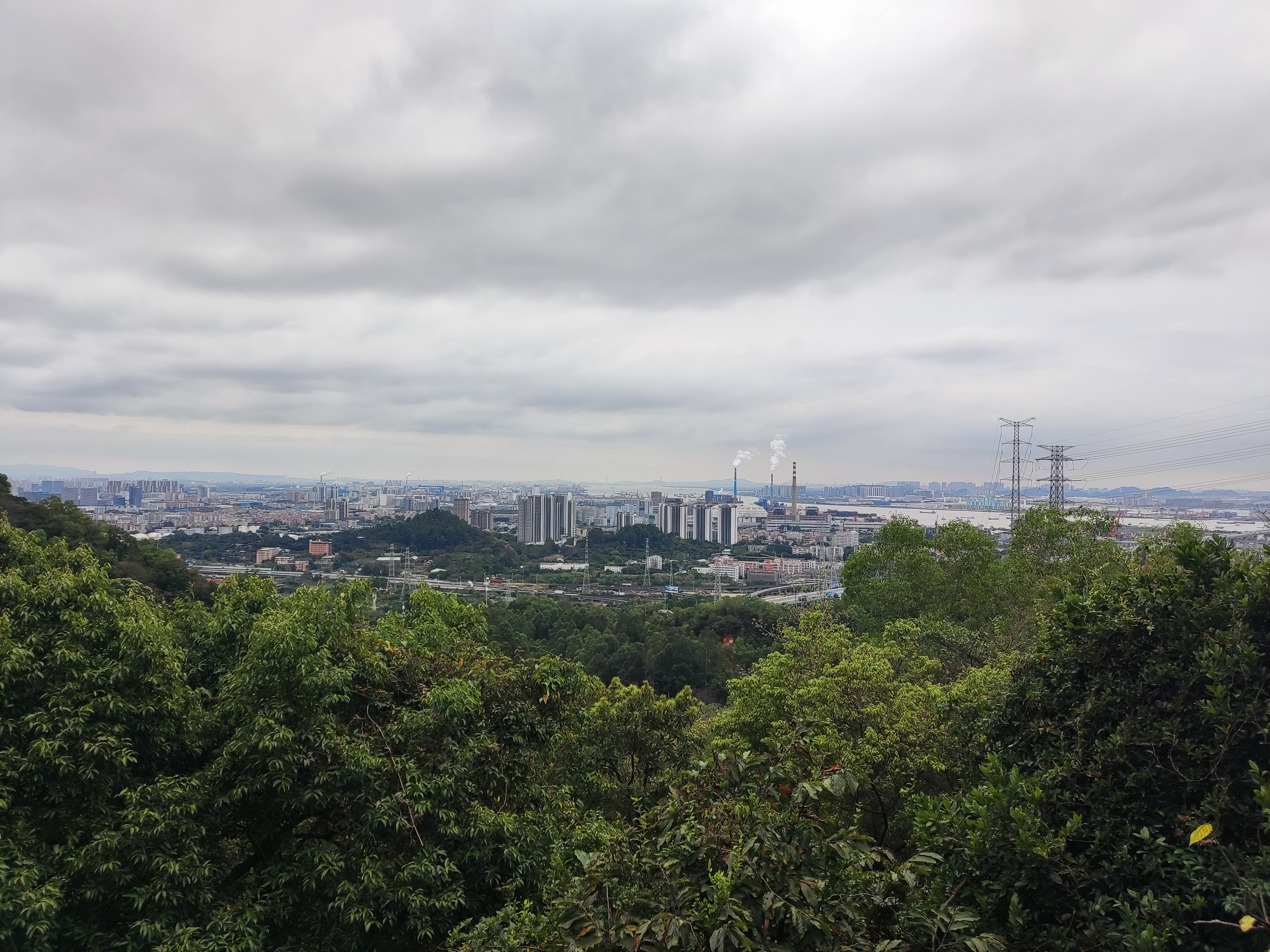 黄埔区龙头山森林公园图片