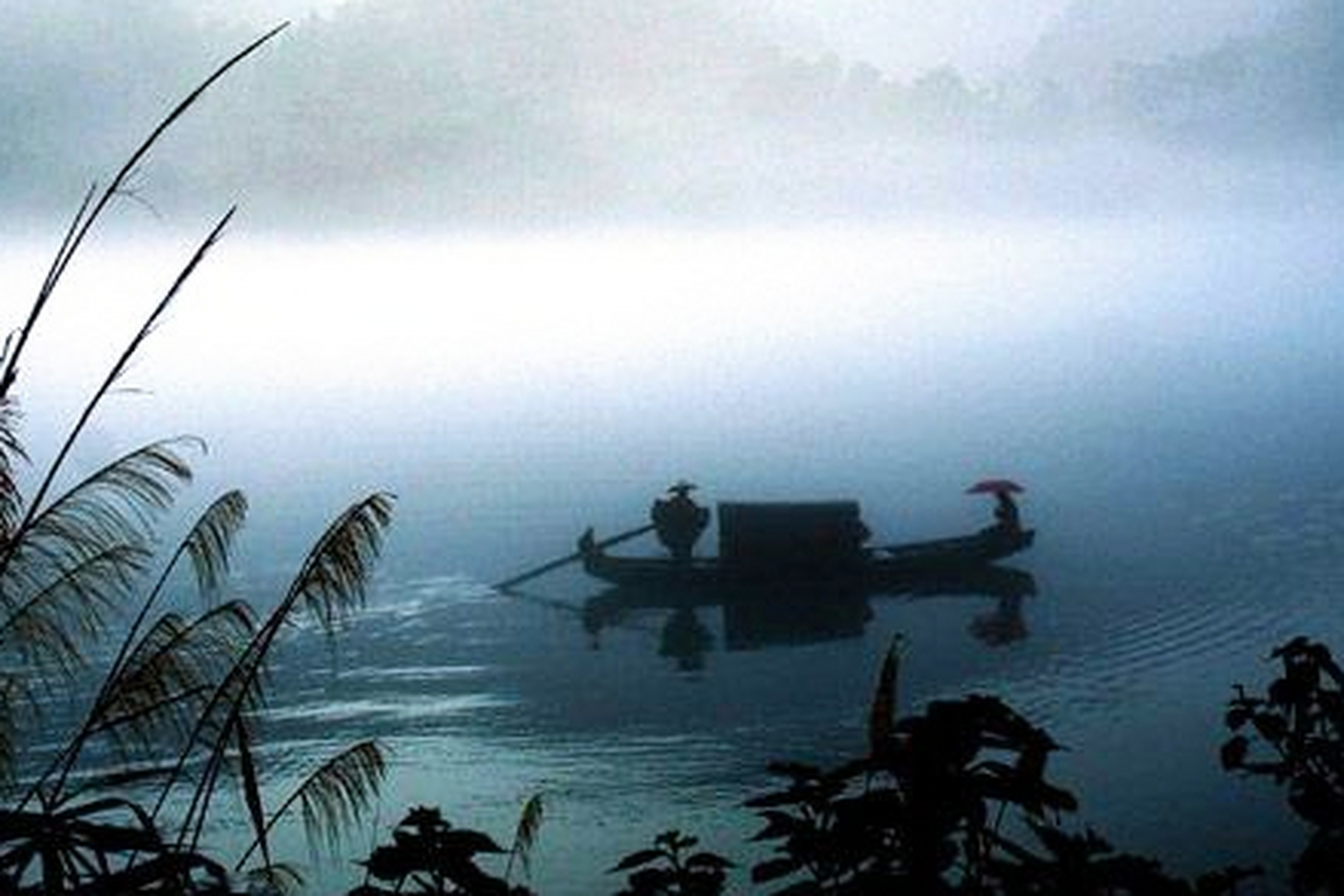 七律·夜宿湖中舟 文|草堂天闲  荻芦摇动雾舟烟,醉客讴吟芷水涟.