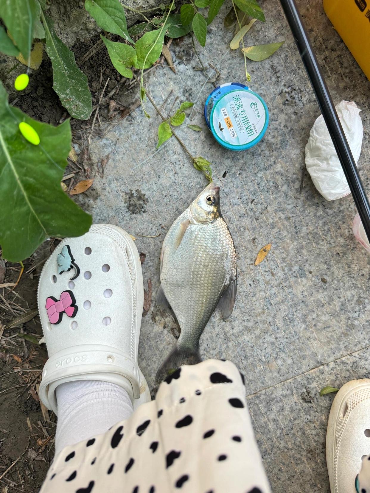 看嘛,今天我钓了一条武昌鱼太高兴了!