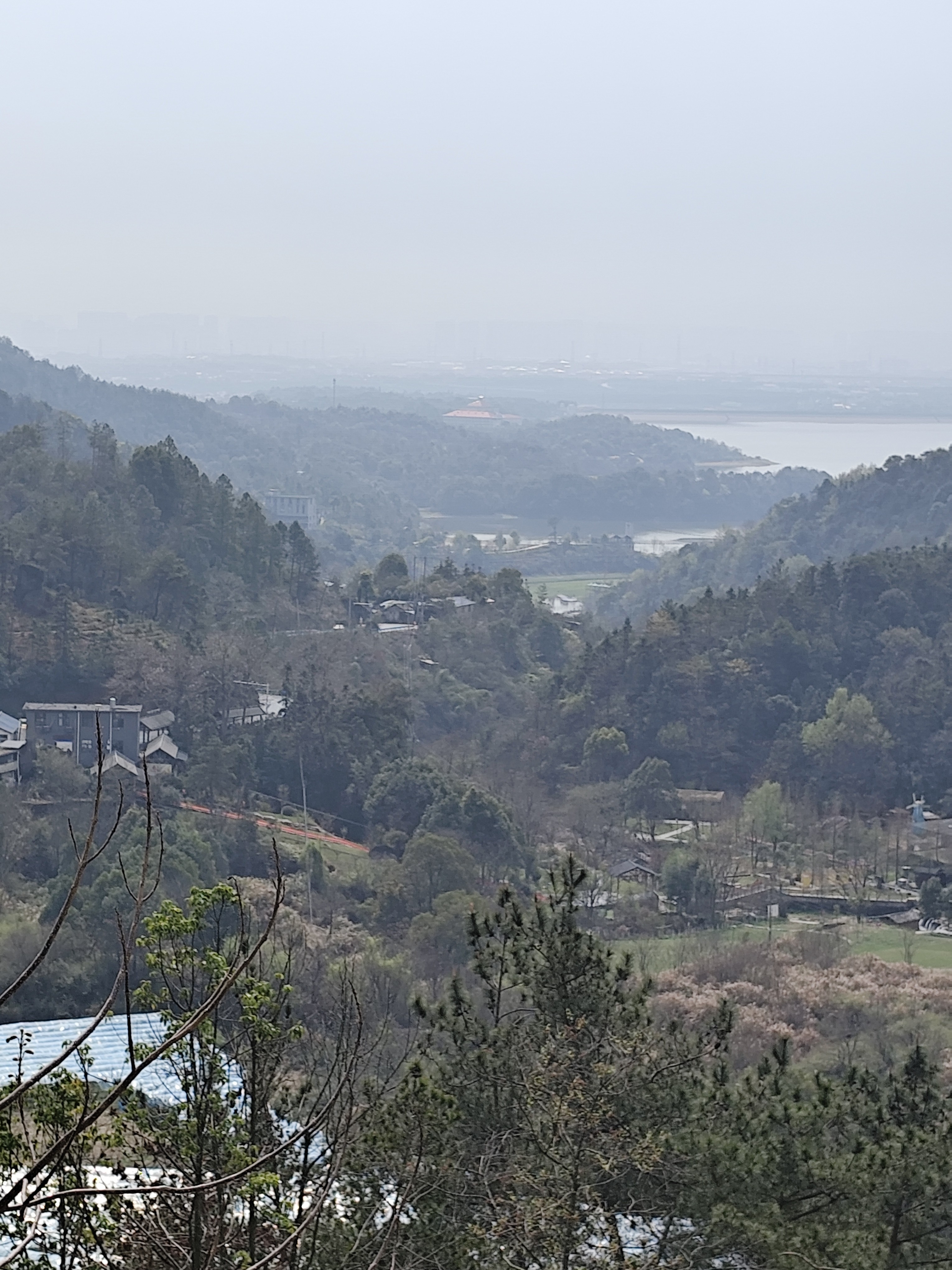 20240324 雨后摇风翻山至洗药湖(七律平水韵) 杨林0729  怜君冲雨翻山