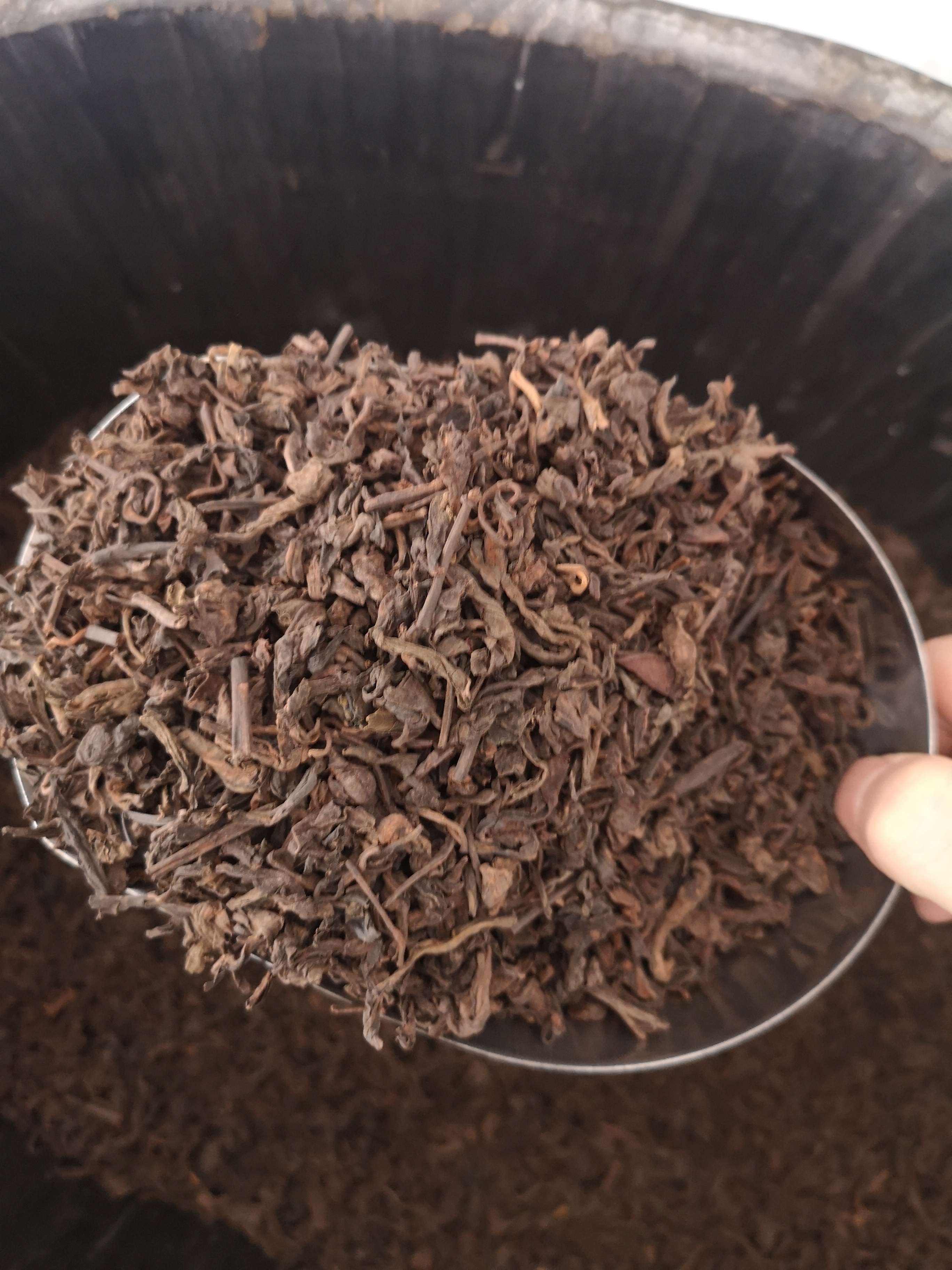 80年代老树槟榔香六堡茶,老茶就是透亮,水滑干净利落,入口醇厚,力量感