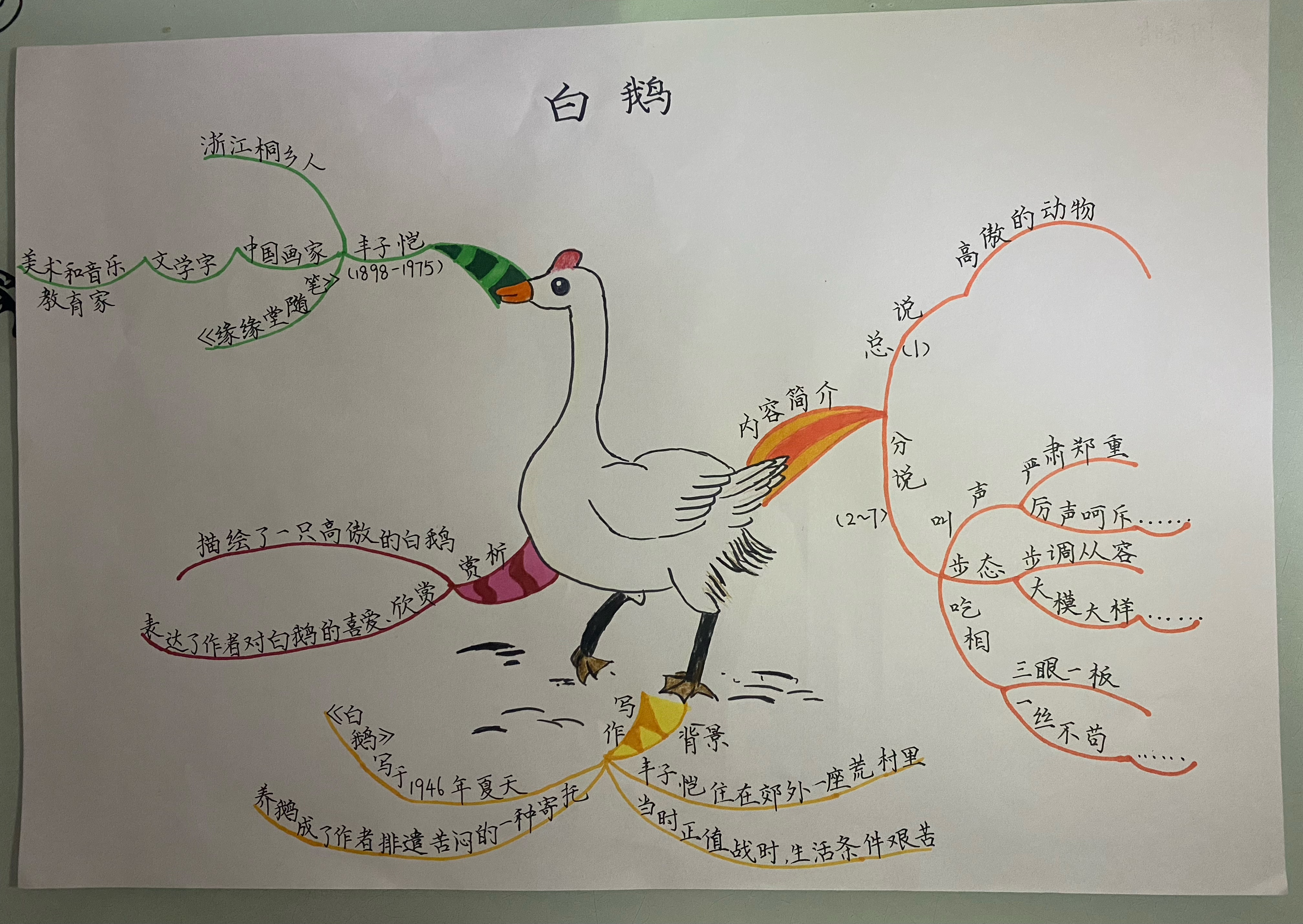白鹅板书设计思维导图图片