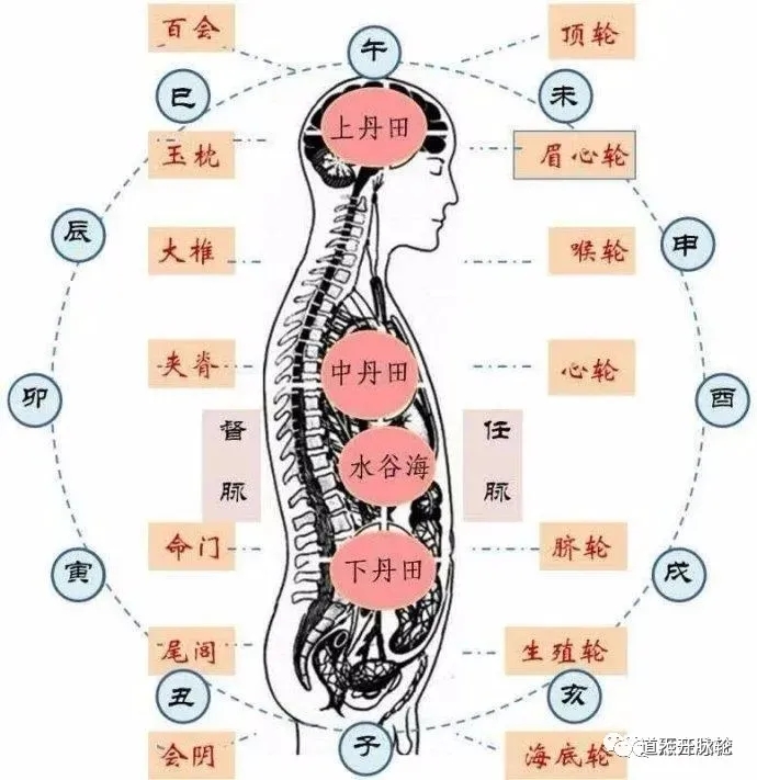 李少波真气运行法图解图片