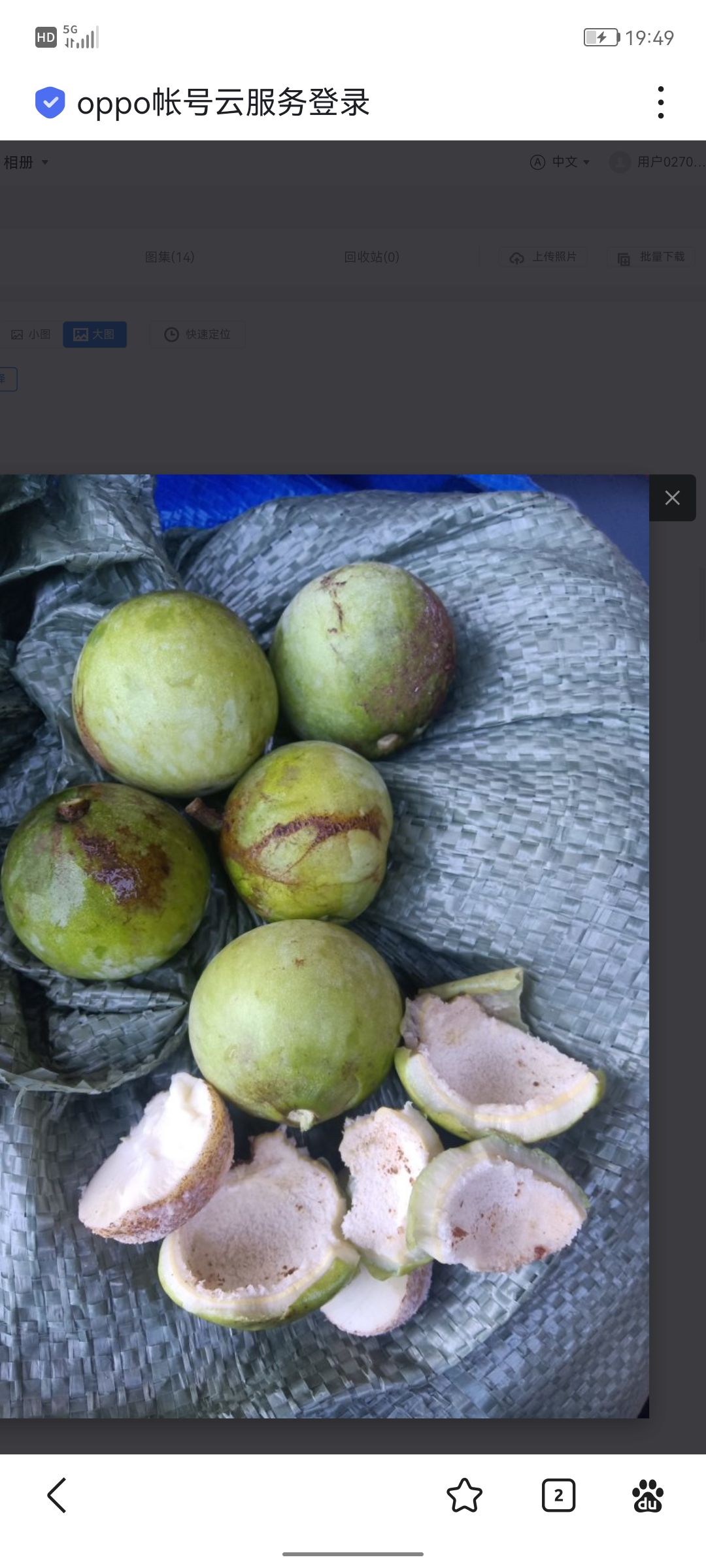 想要野生蒜头果油的联系我,400元/斤.