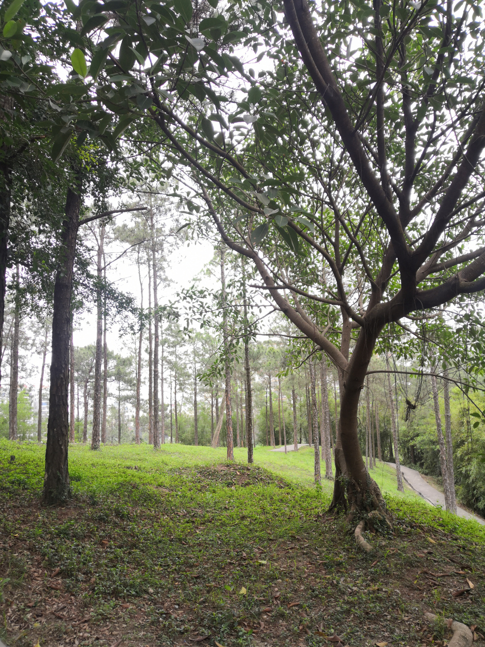 十年树木,百年树人. 今日之材,他日之栋.