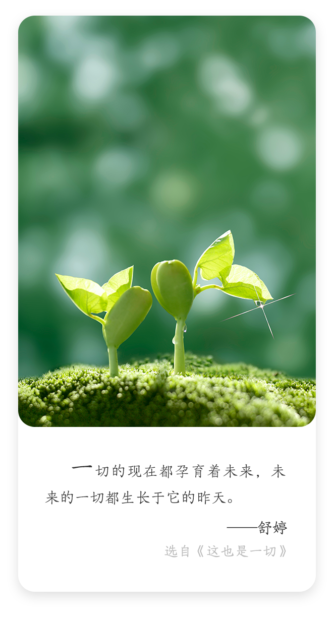 勃发之际,北京市京师律师事务所全体同仁满怀热忱,共同踏上新一年的奋