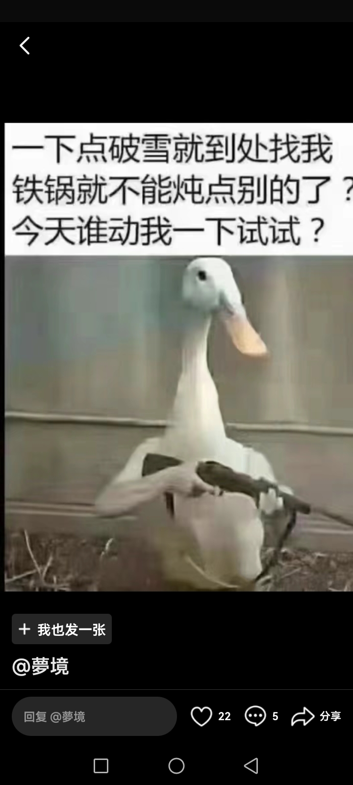 图中是一只可爱的白鸭子的卡通形象,非常适合做表情包哦!