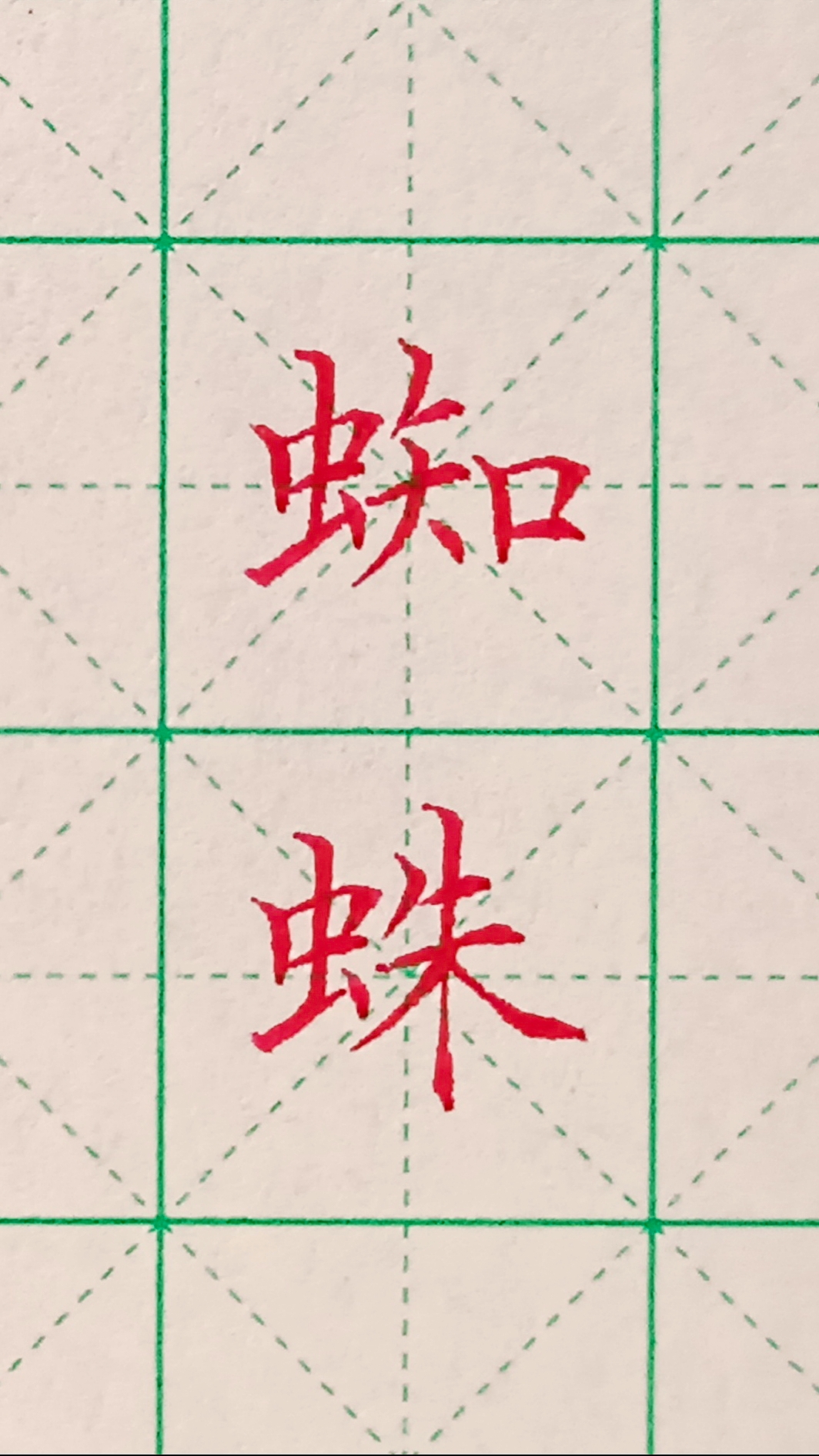 "✨蜘蛛,一个令人着迷的汉字,充满了神秘而美丽的力量