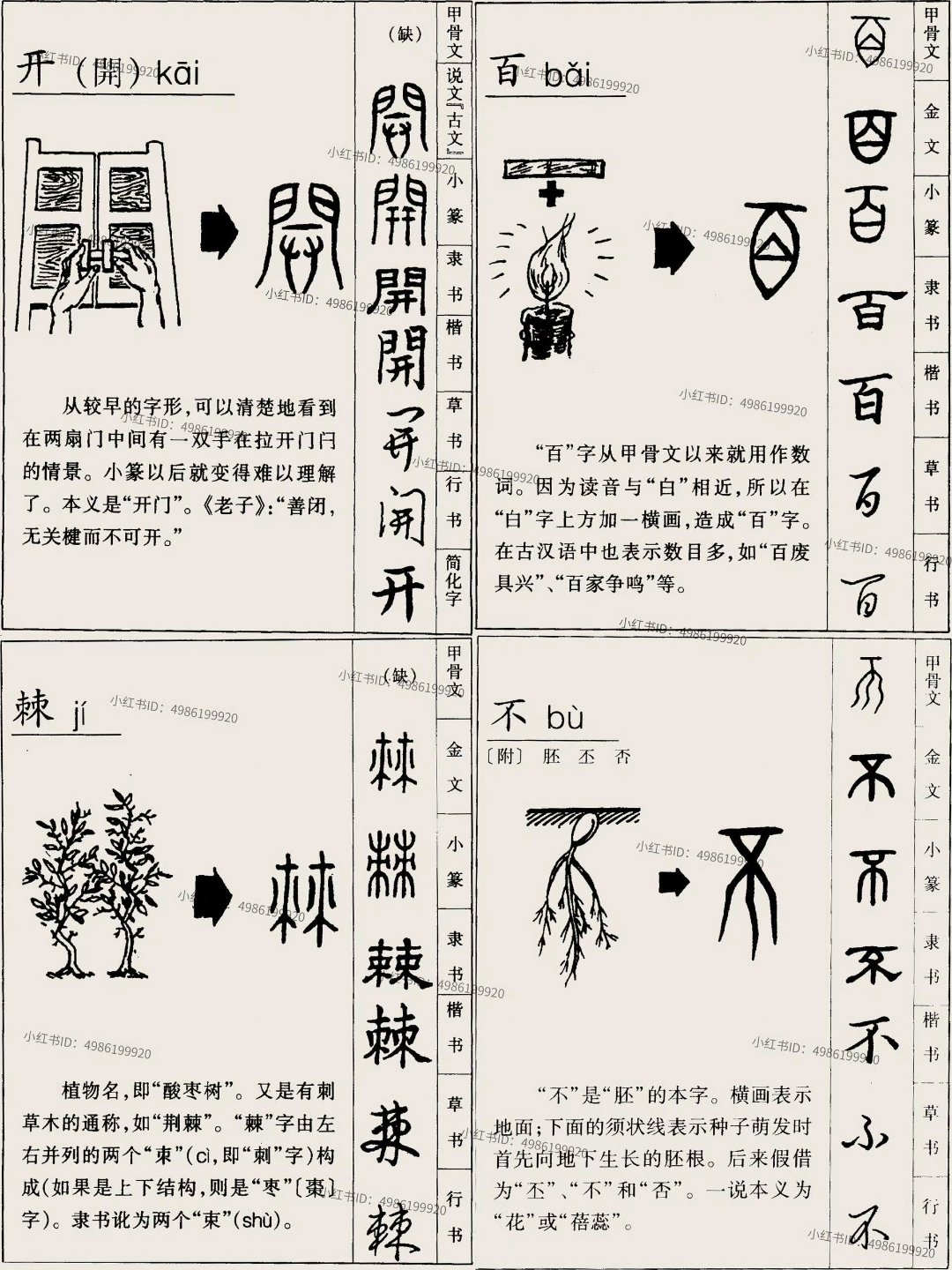 中国汉字的演变