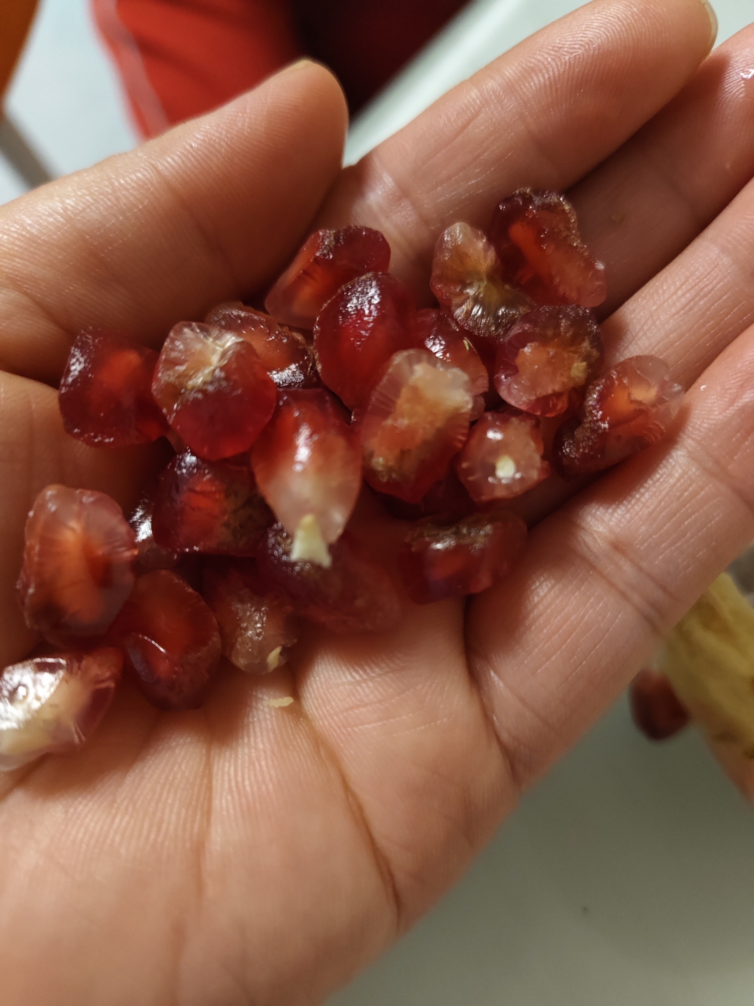 谁知道这石榴咋了?