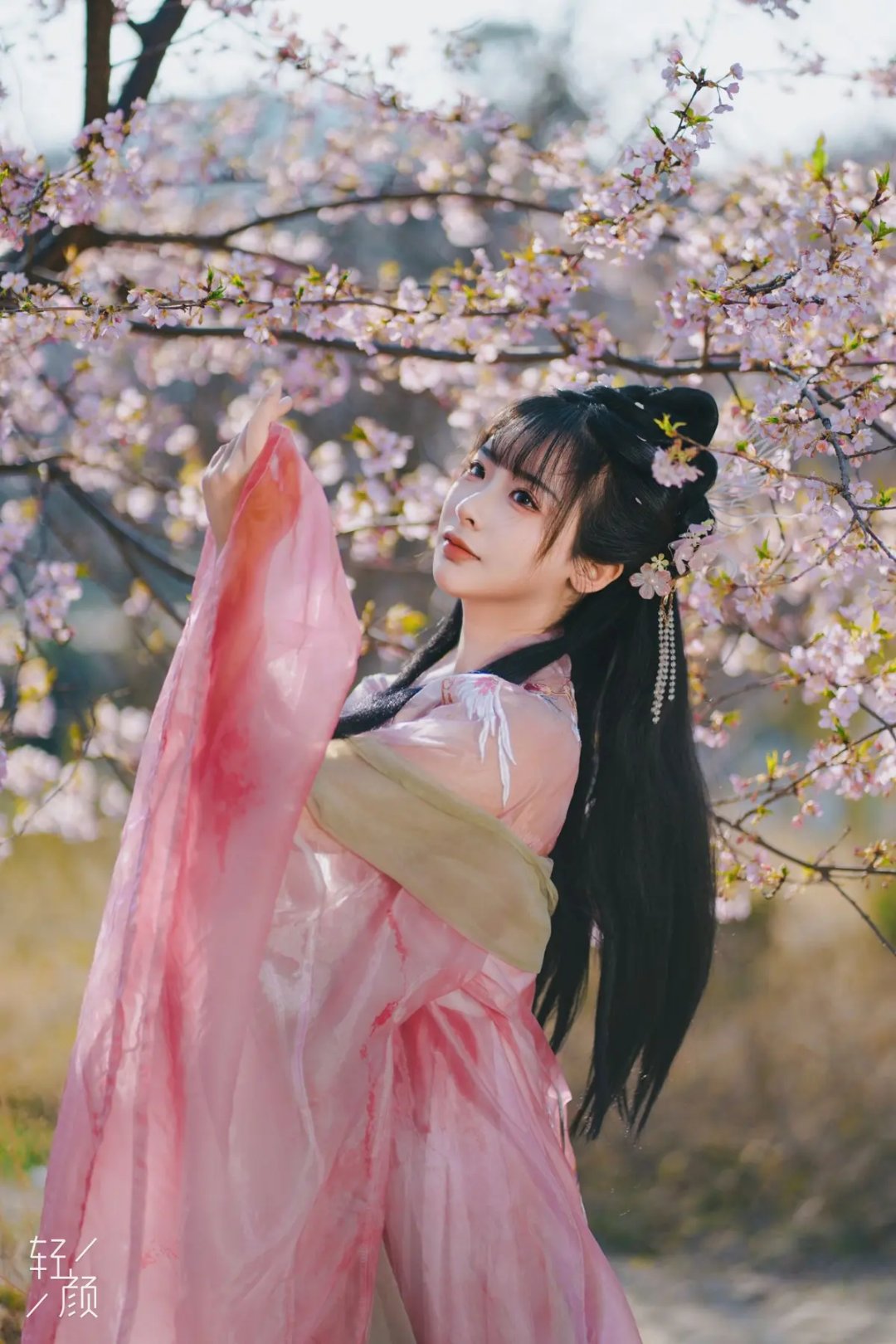 春日汉服美人,恬静如画  汉服小姐姐坐在户外,仿佛穿越了时空,来到了