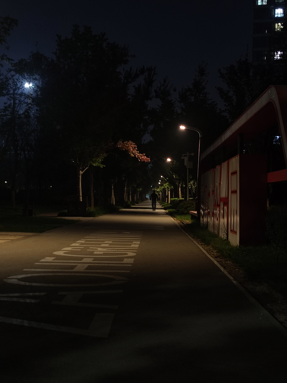 夜晚乡间小路图片大全图片