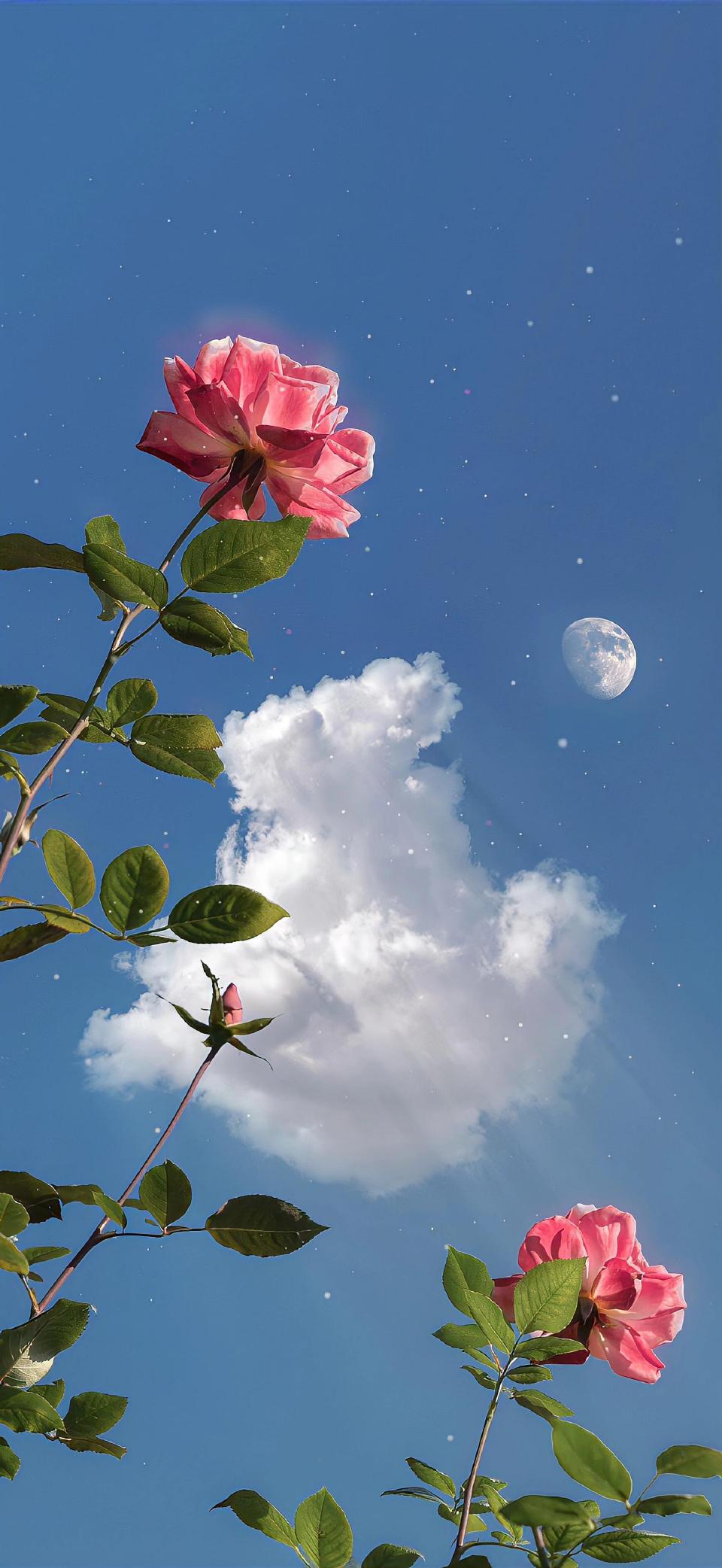 超好看的手机的壁纸!#手机壁纸# #壁纸分享# #壁纸