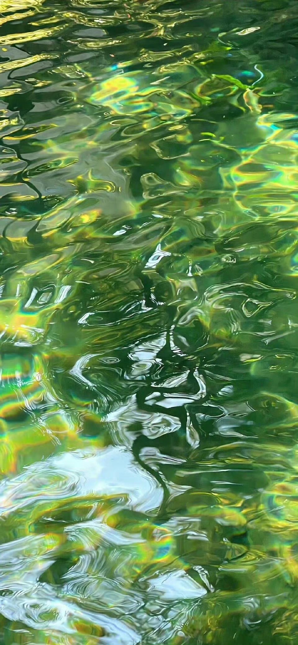五月你好!#手机壁纸# #高清壁纸# #壁纸# #ins风背景图# #生活