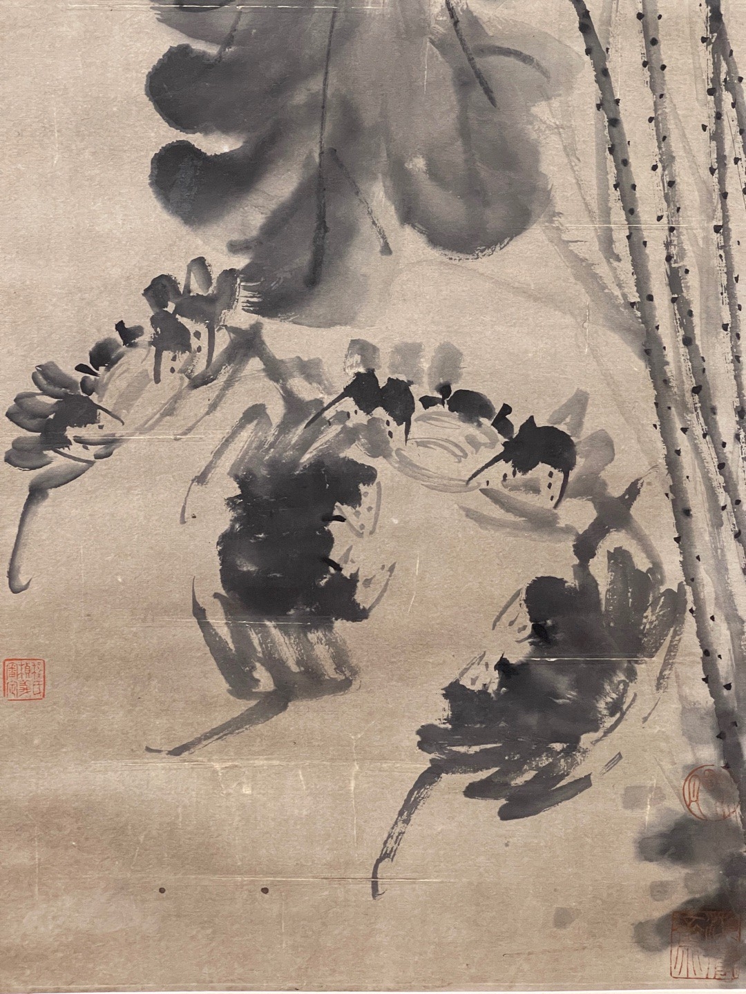 徐渭 荷蟹图 纸本立轴 画芯尺寸:137*40cm#古玩# #晒晒我的收藏